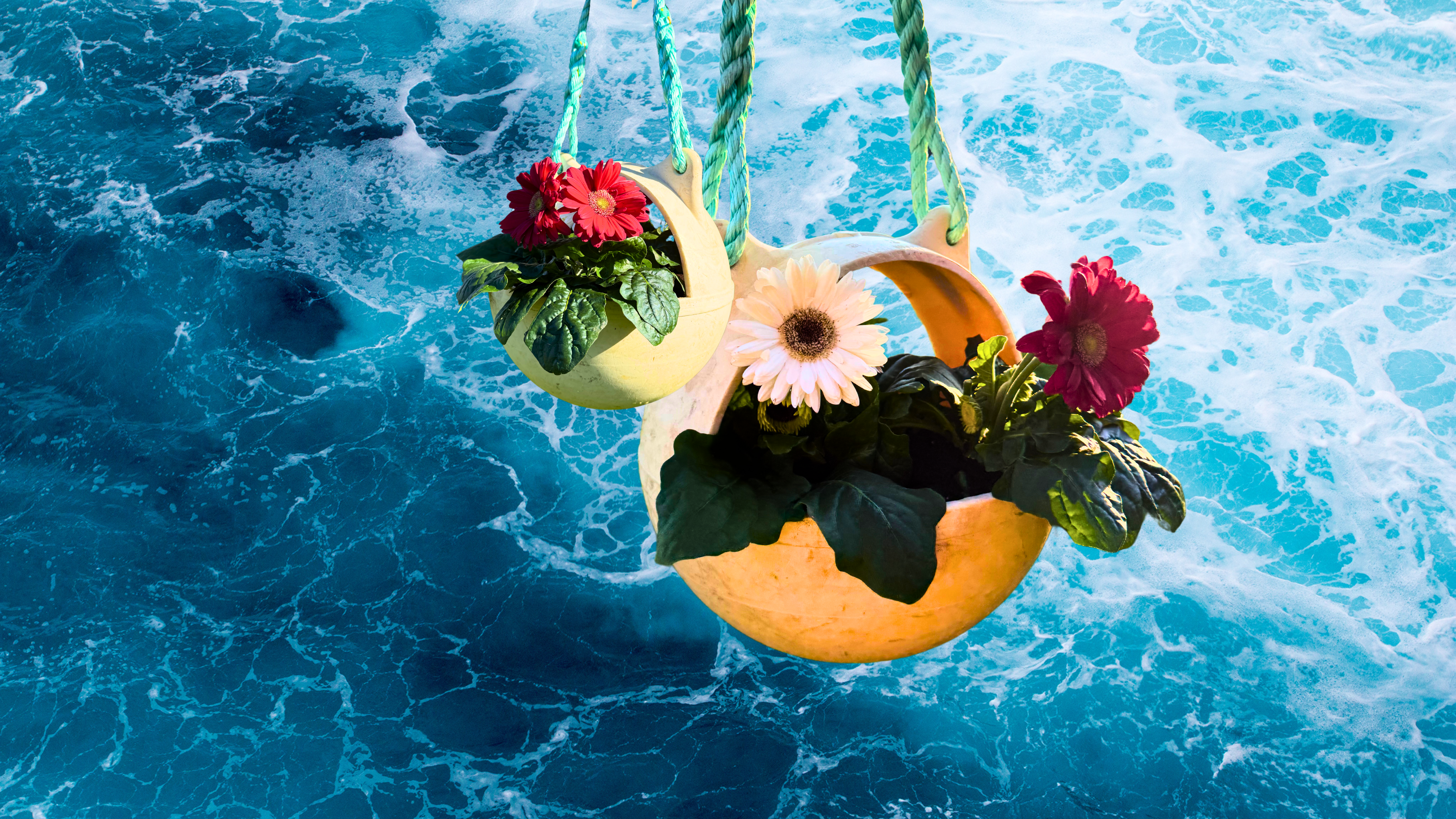 From Tsunami Debris to Garden Décor: The Journey of Japanese Buoys to British Columbia's Shores