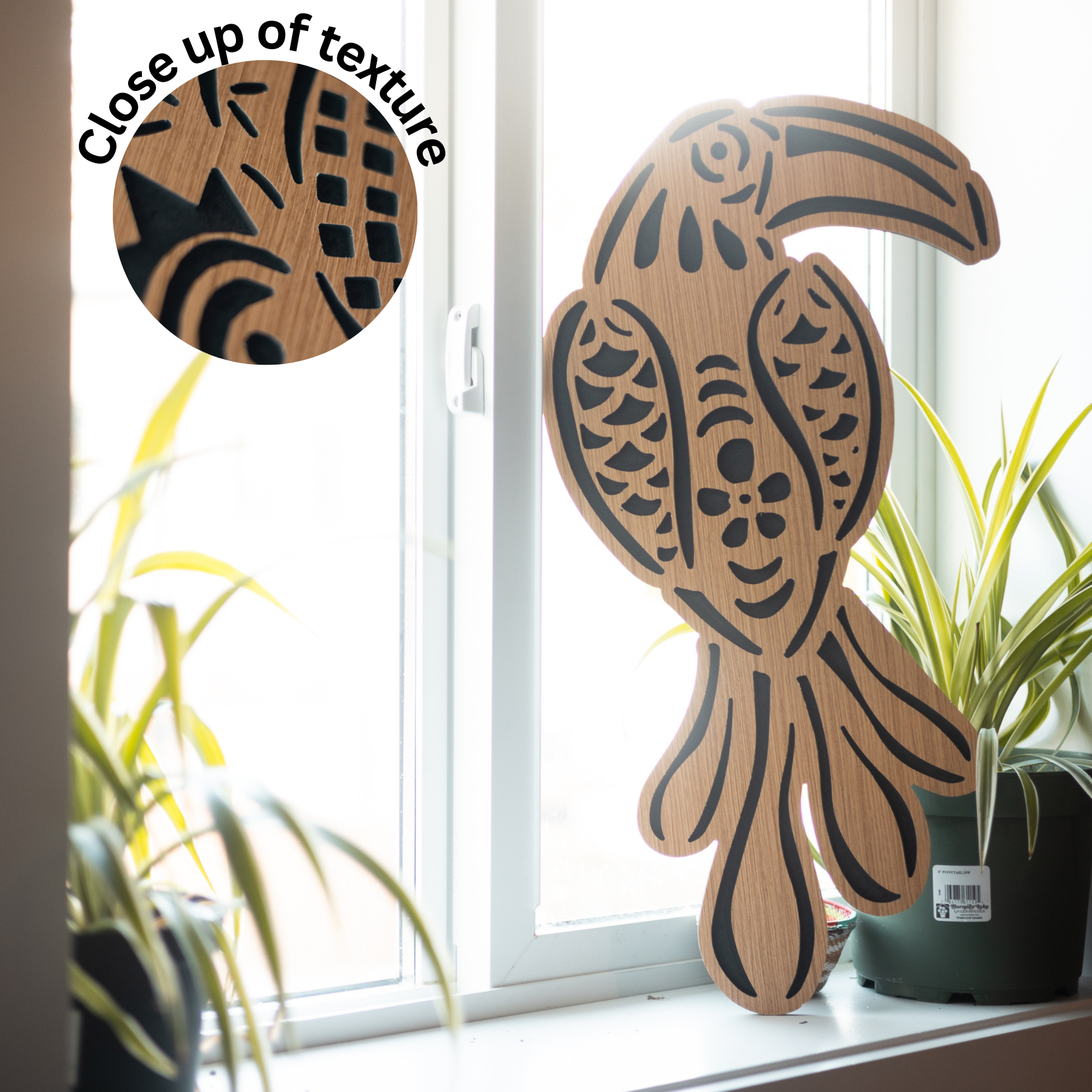 Cut-Out Series - Free Shipping