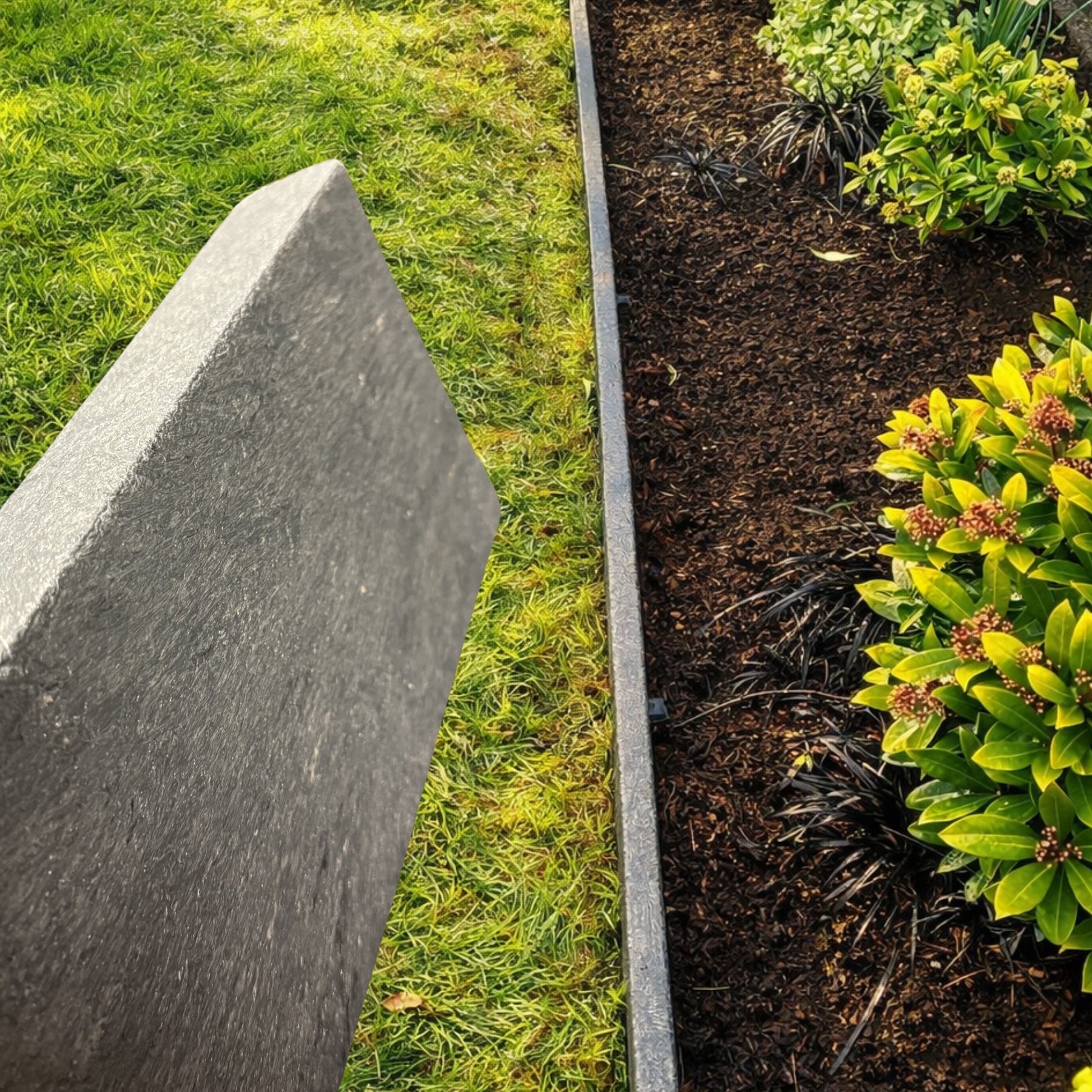 2" x 6"- 8' or 12' Garden Board