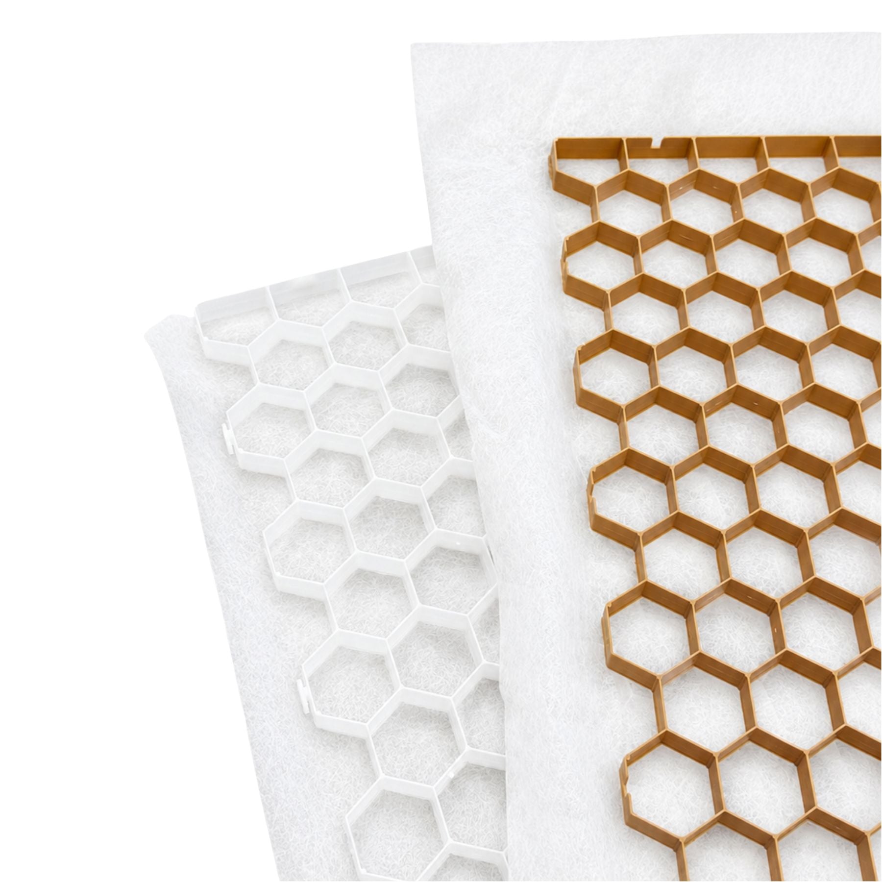 CORE Path | FREE SHIPPING