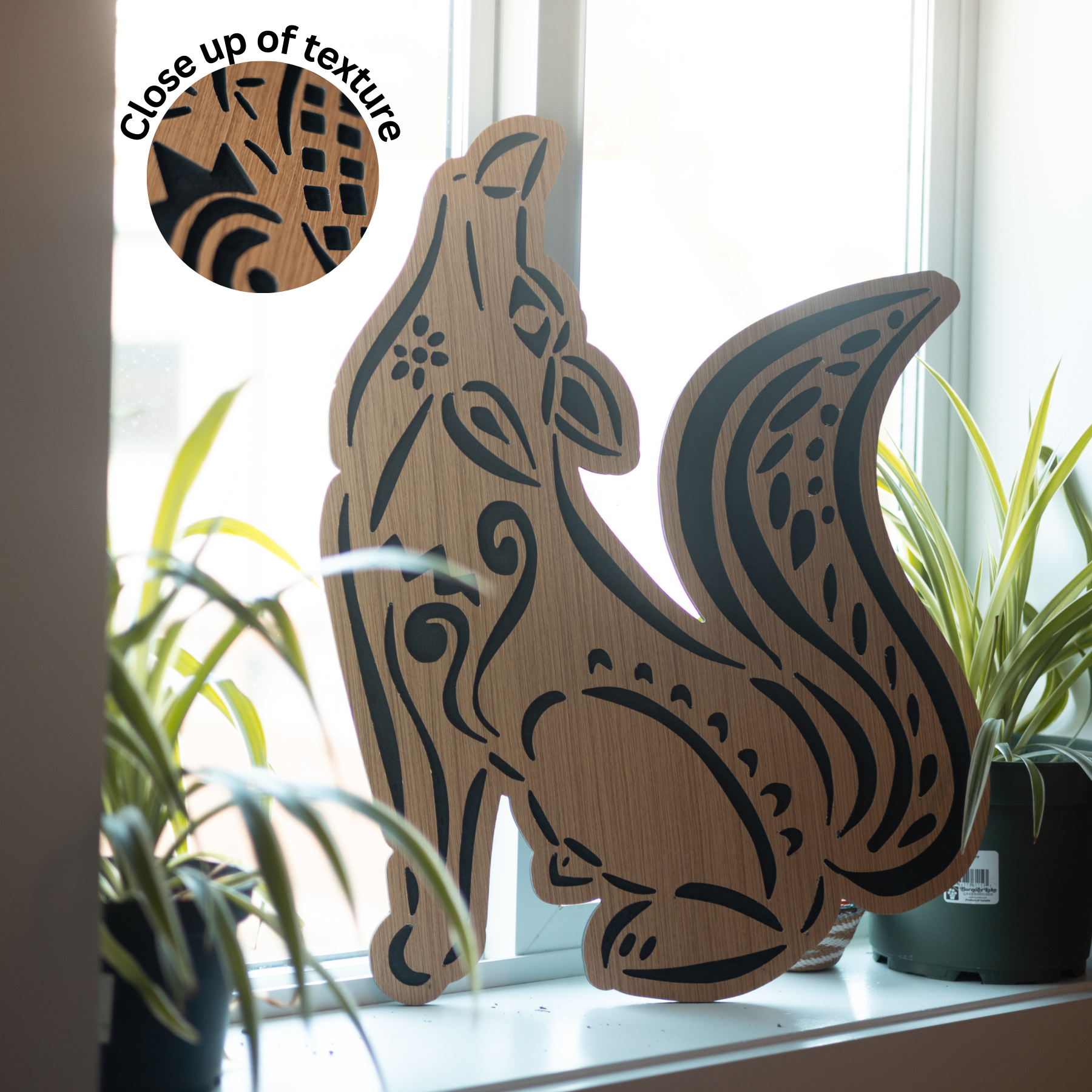Cut-Out Series - Free Shipping