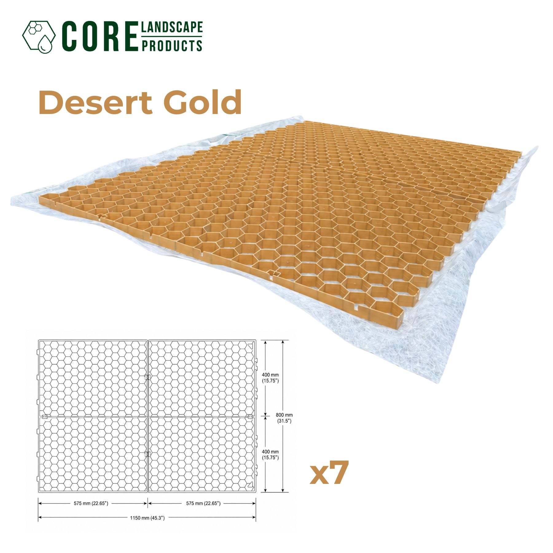 CORE Path | FREE SHIPPING