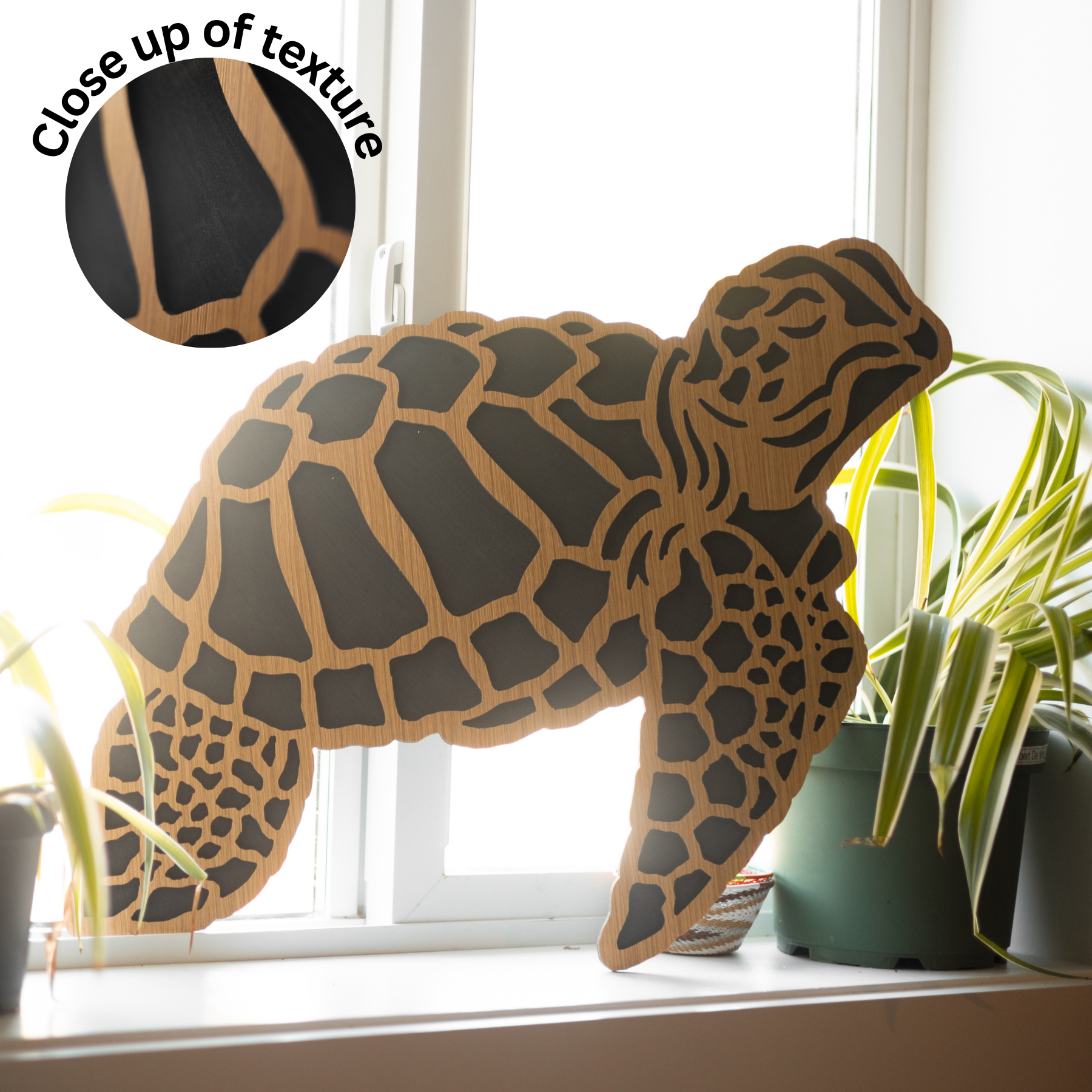 Cut-Out Series - Free Shipping