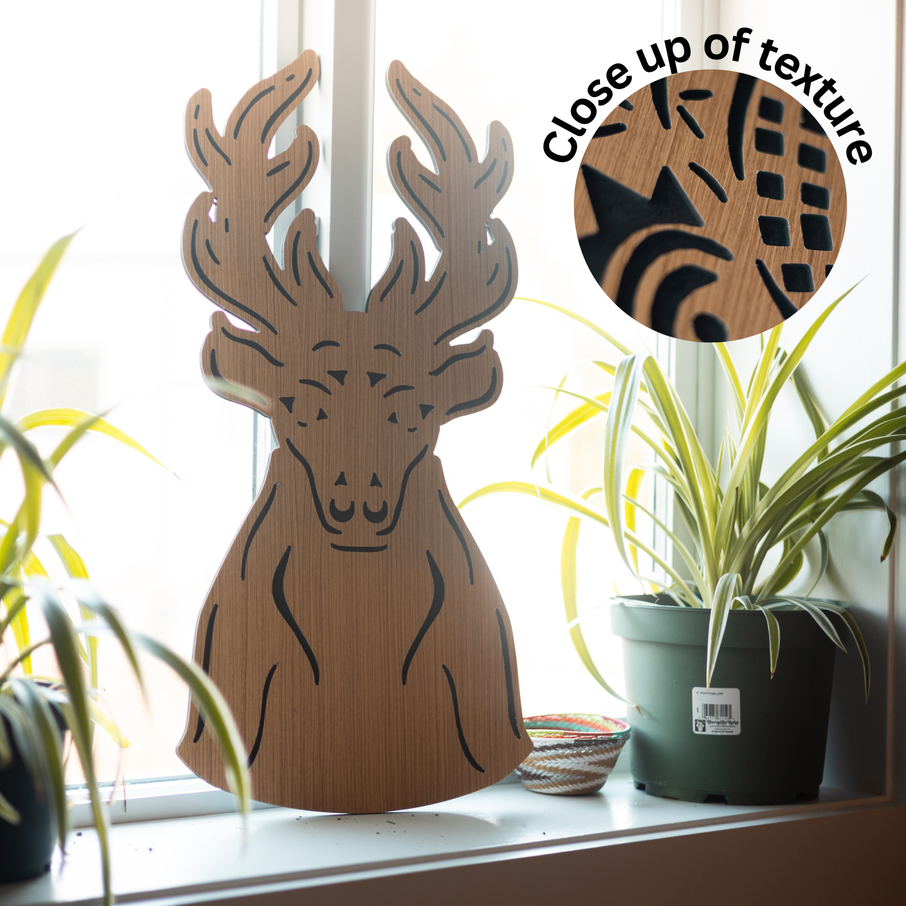 Cut-Out Series - Free Shipping