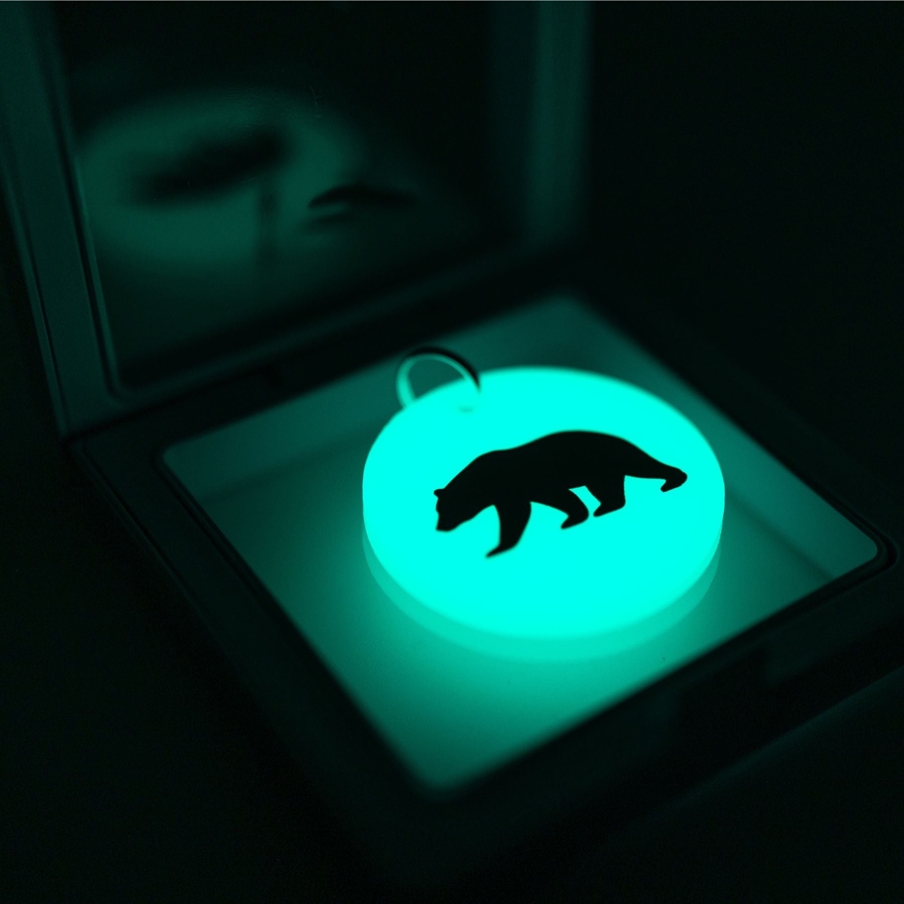 Glow in the Dark Keychains FREE SHIPPING