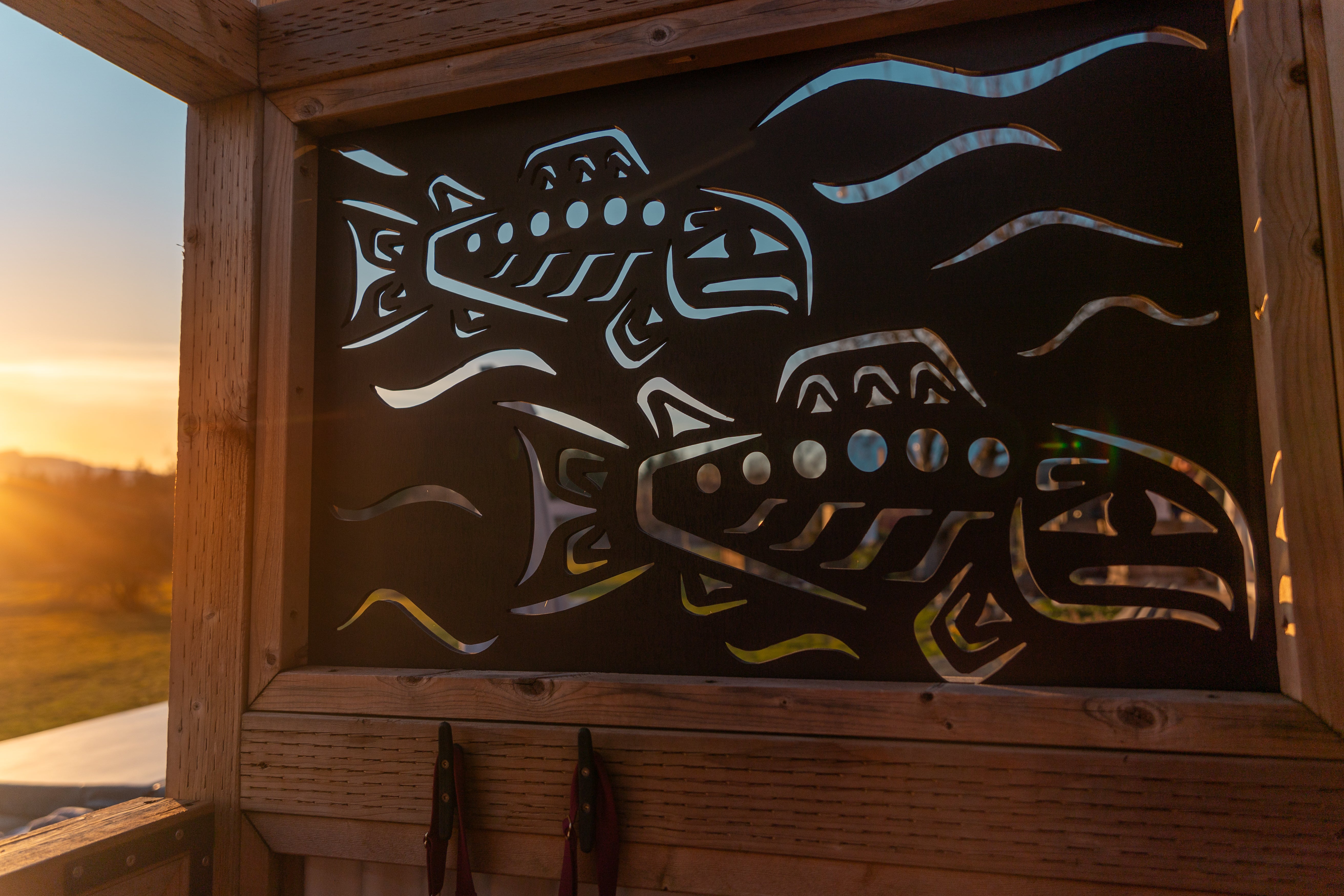 Sockeye Salmon Run