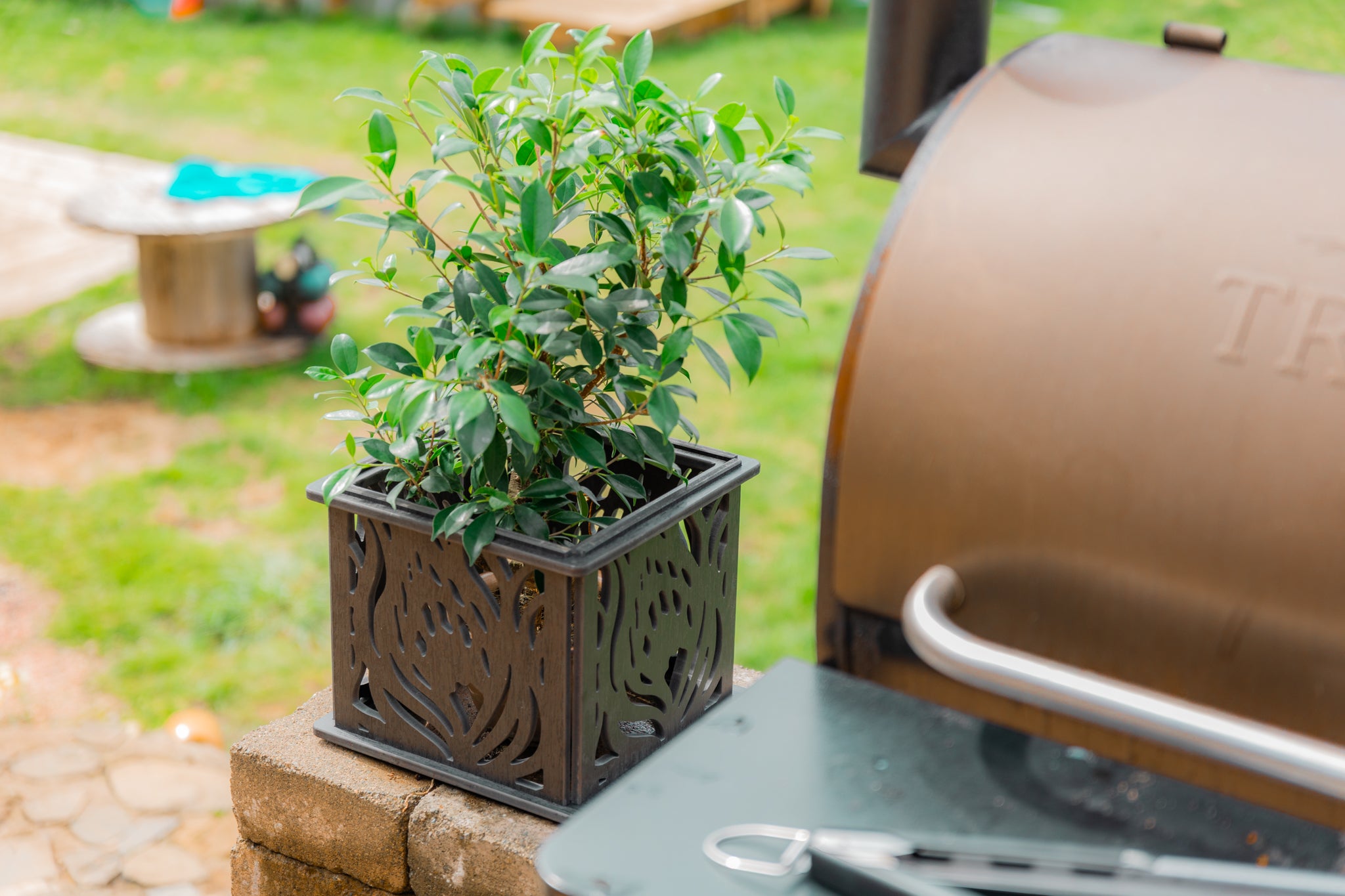 CANA Planter Box || Protea design || FREE SHIPPING