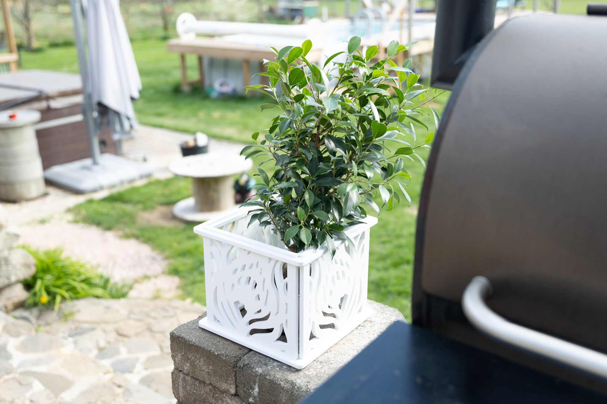 CANA Planter Box || Protea design || FREE SHIPPING