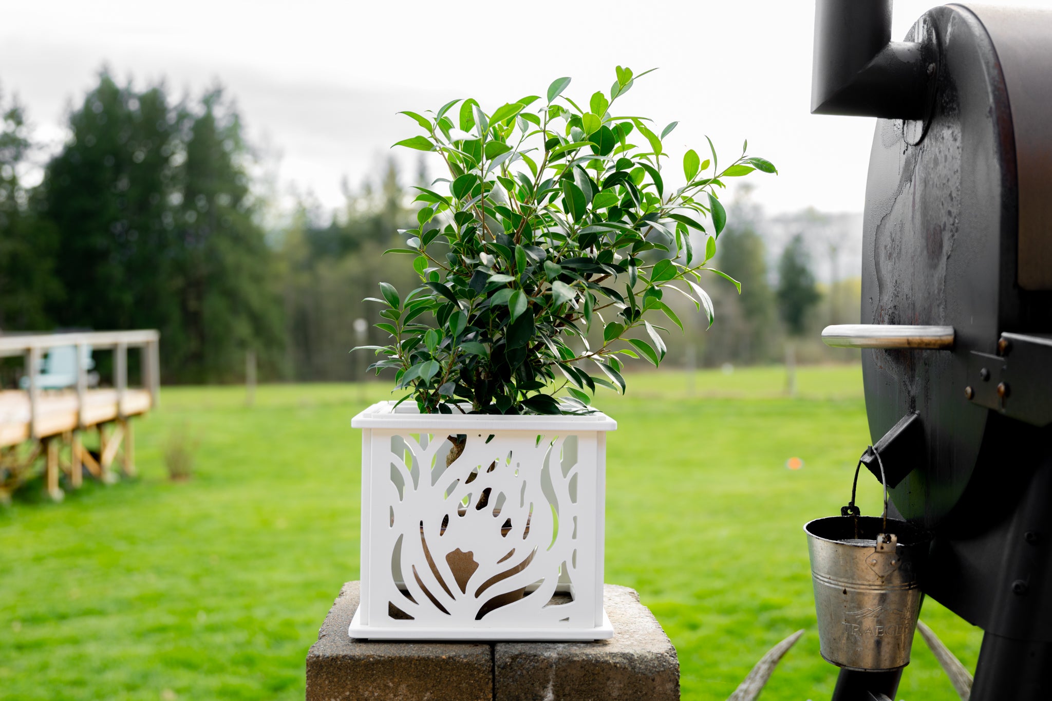 CANA Planter Box || Protea design || FREE SHIPPING