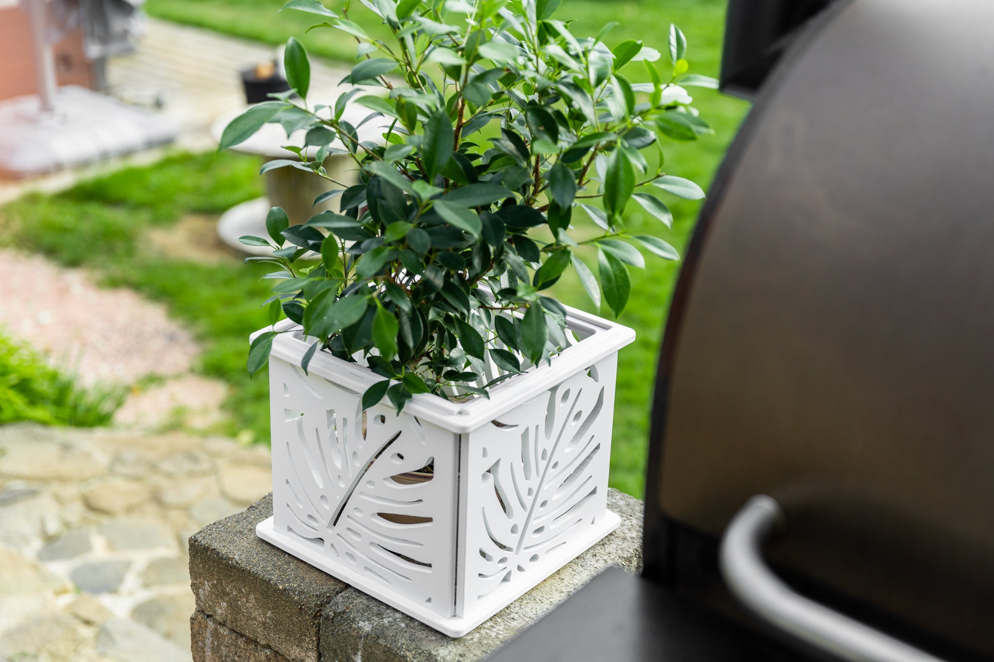 CANA Planter Box || Monstera design || FREE SHIPPING