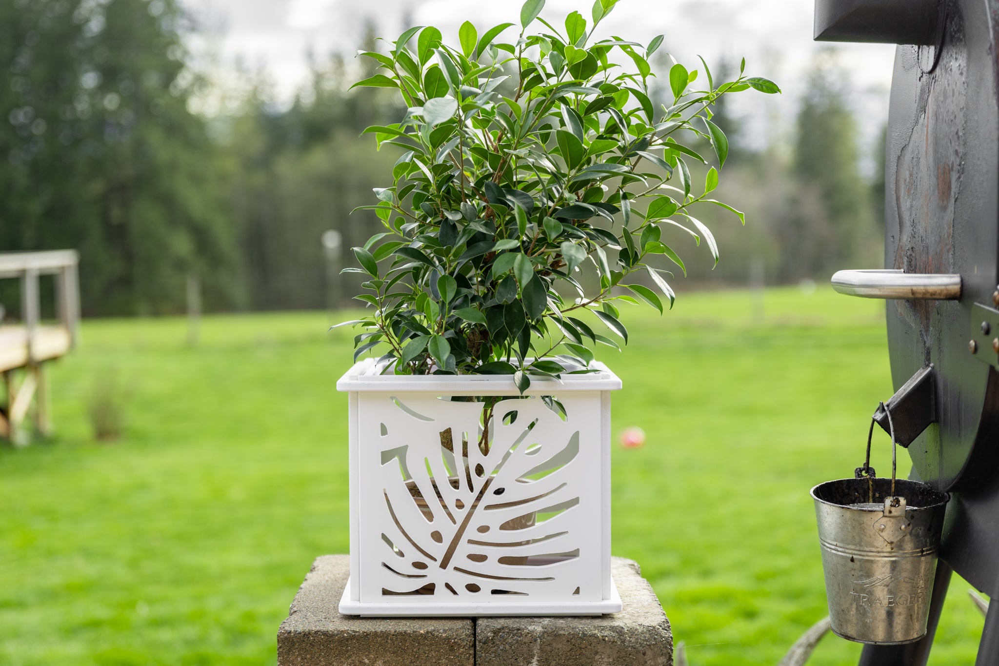 CANA Planter Box || Monstera design || FREE SHIPPING