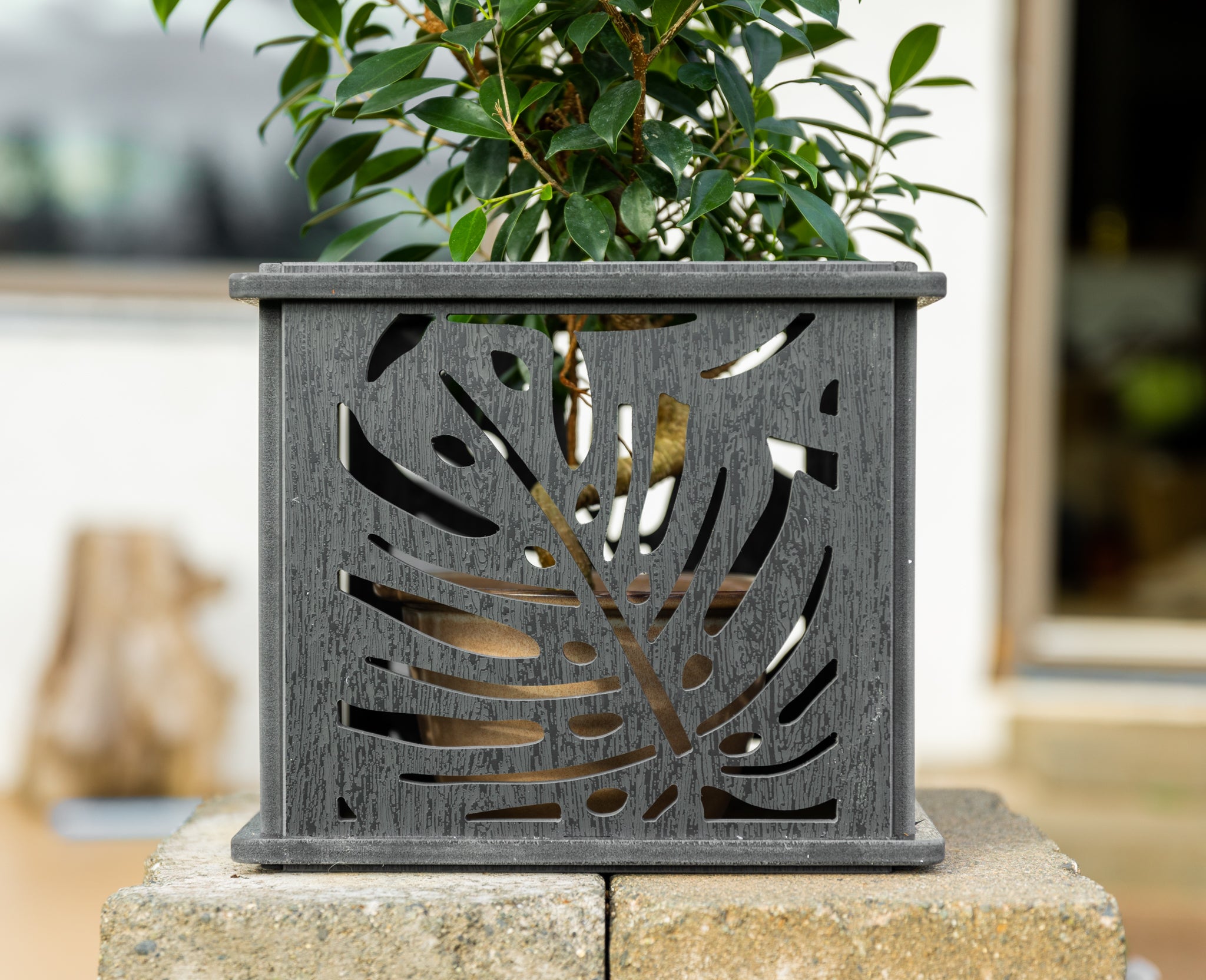 CANA Planter Box || Monstera design || FREE SHIPPING