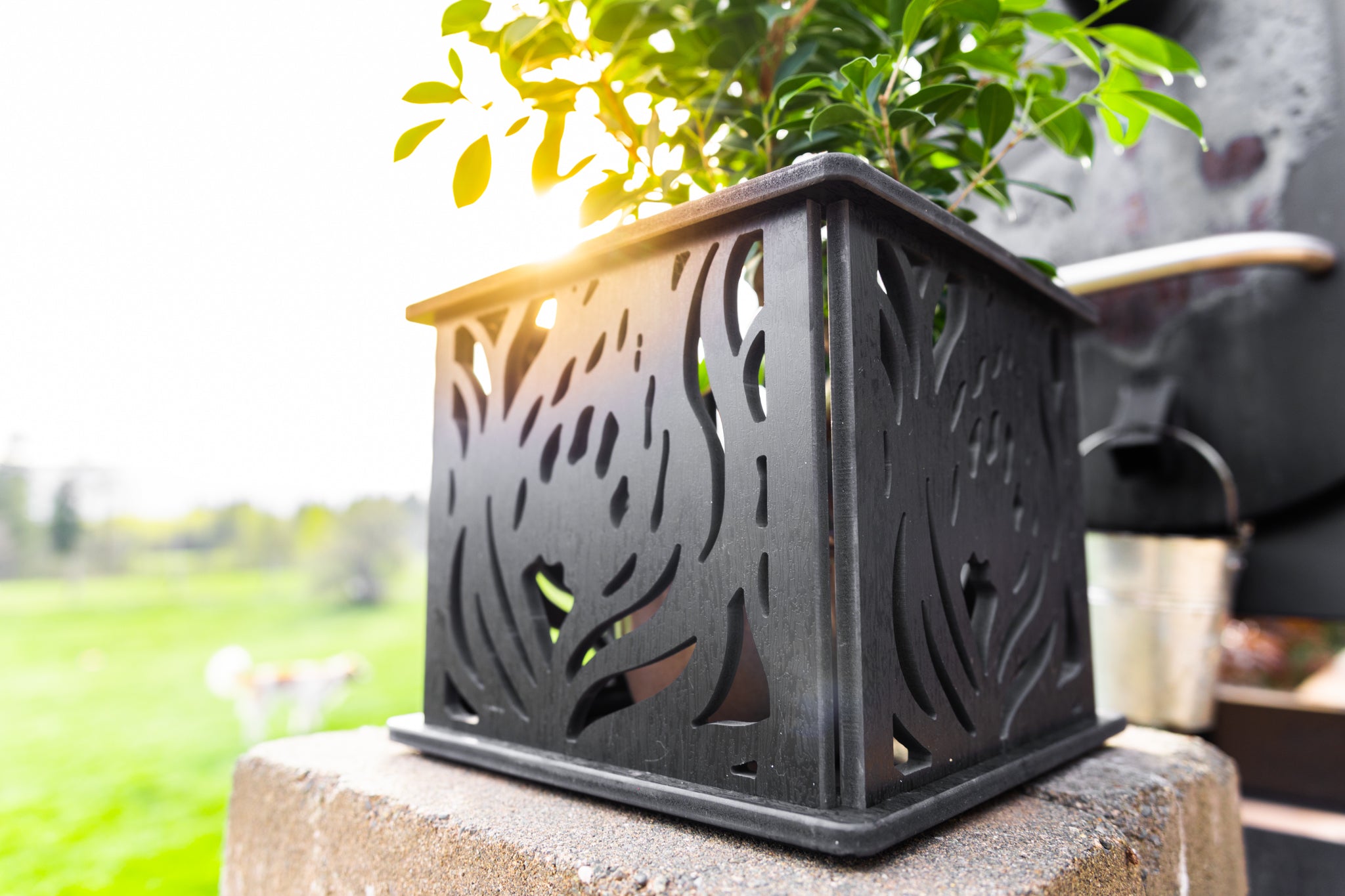 CANA Planter Box || Protea design || FREE SHIPPING