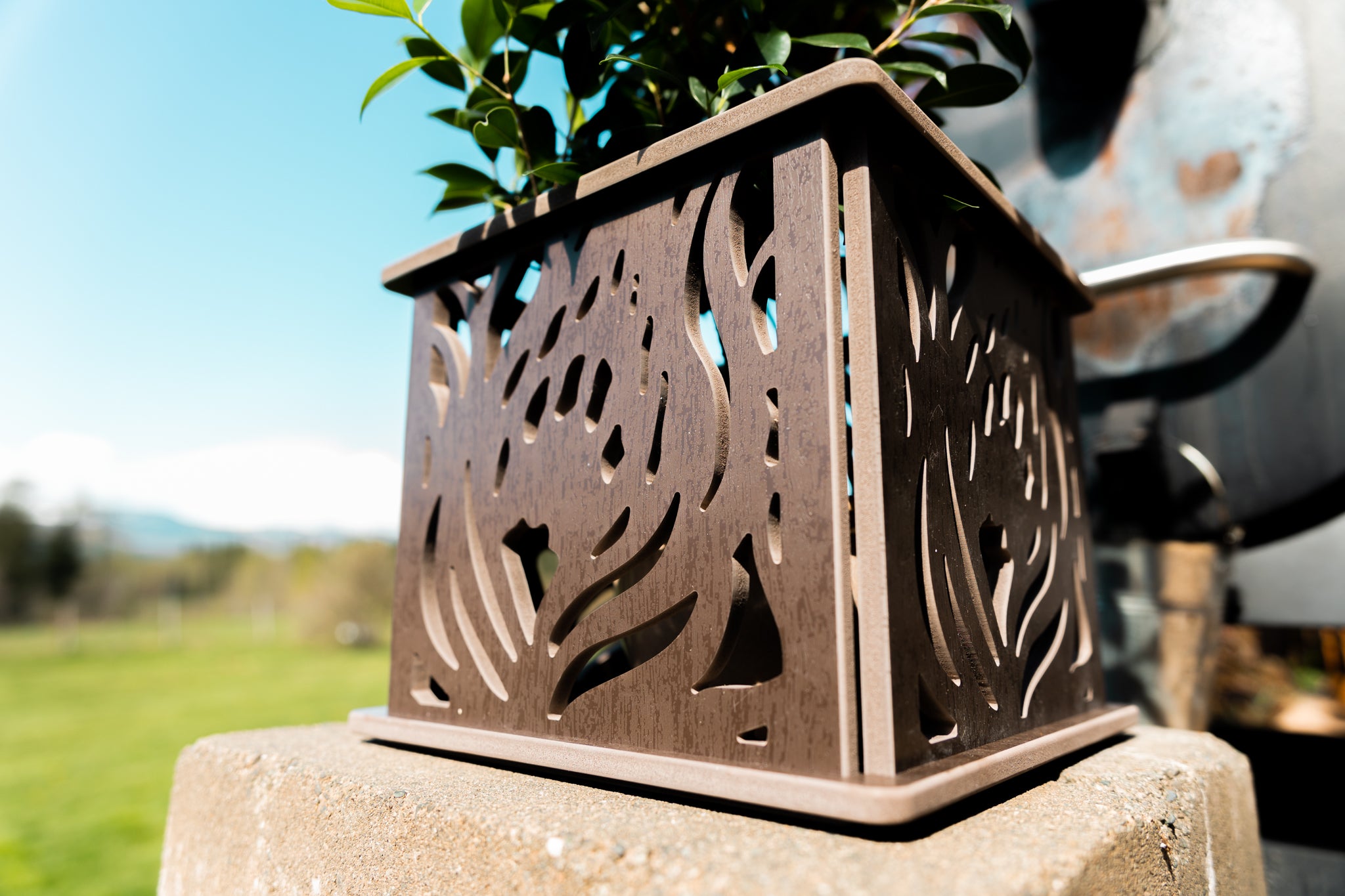 CANA Planter Box || Protea design || FREE SHIPPING