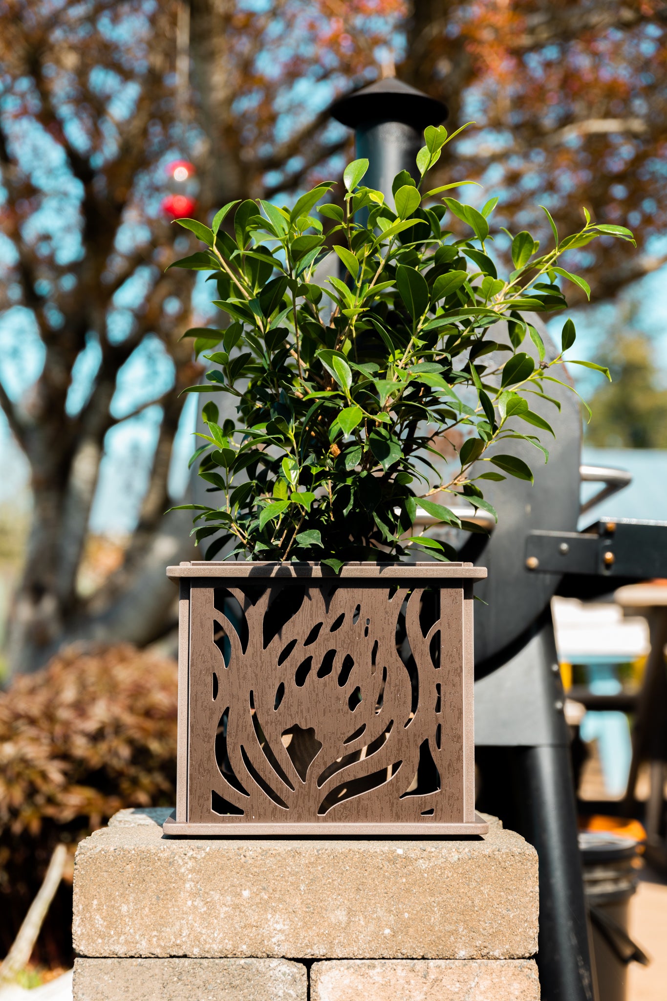 CANA Planter Box || Protea design || FREE SHIPPING