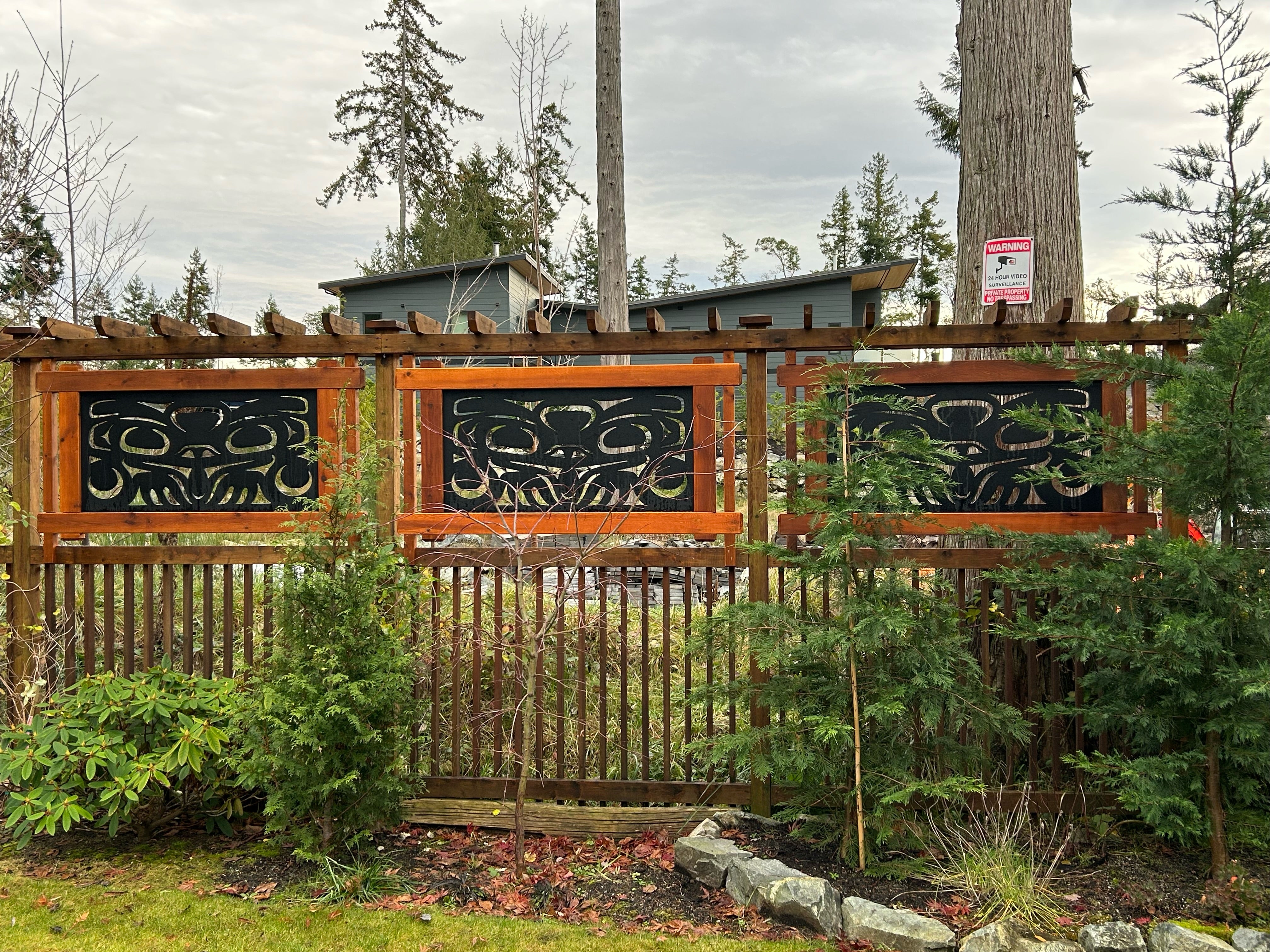 Transformation of the Frog