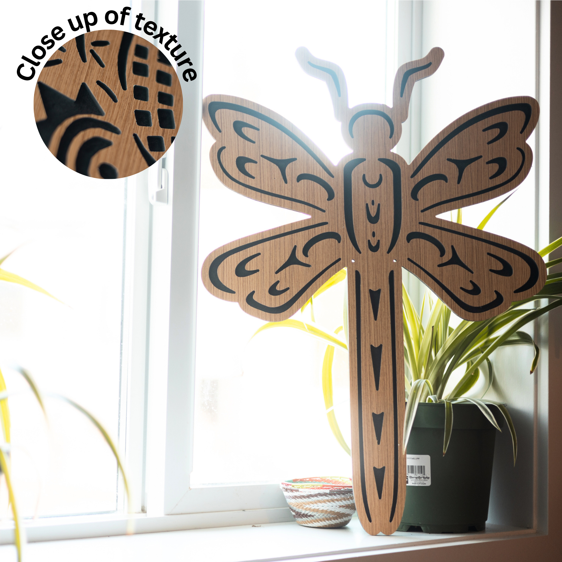 Cut-Out Series - Free Shipping