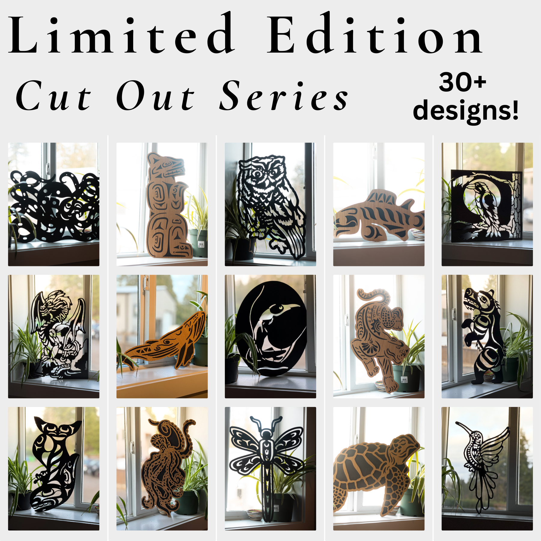Cut-Out Series - Free Shipping