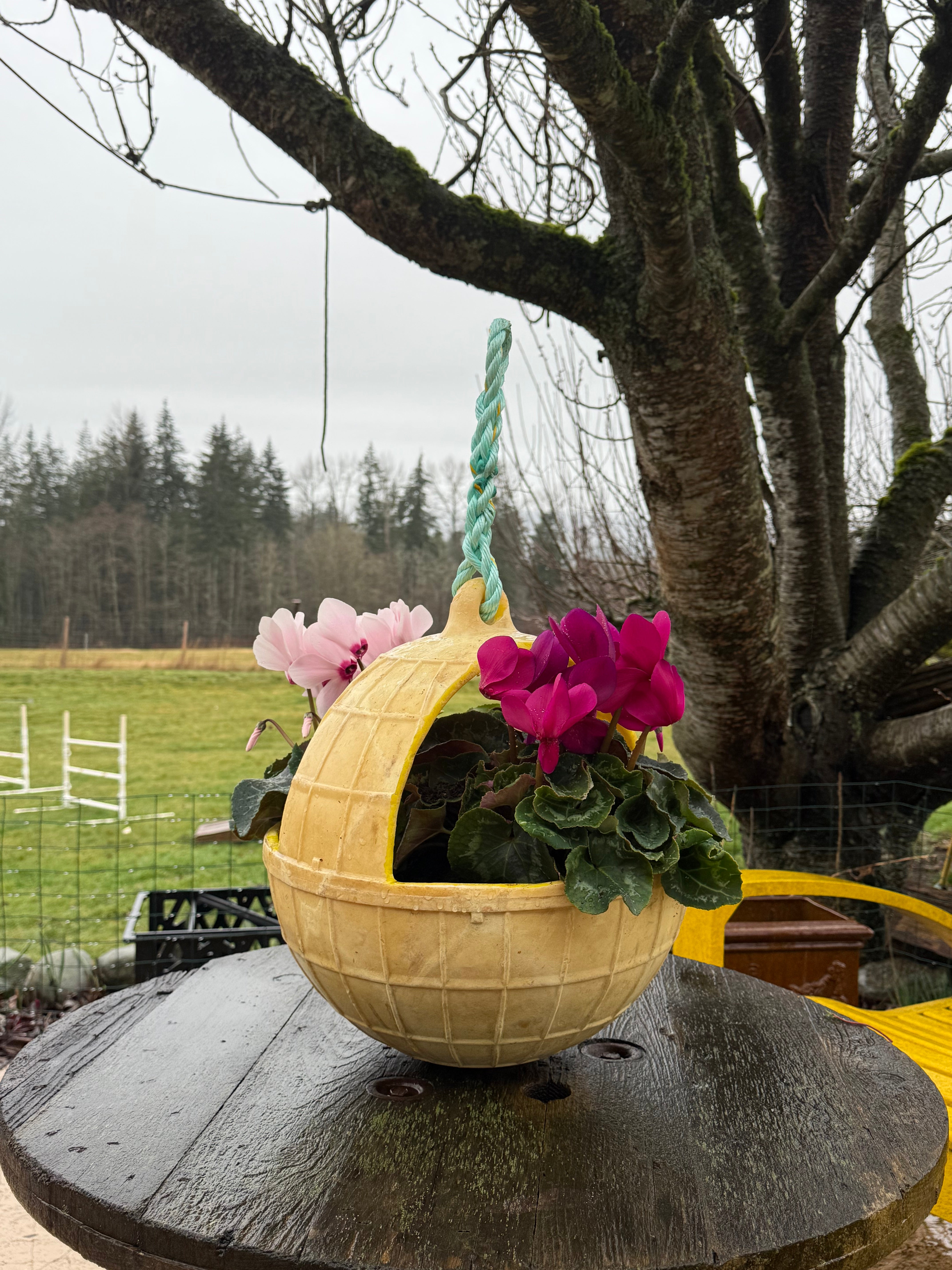 2011 Japanese Tsunami Buoys (Hanging Planters) - Collected from coastal beaches