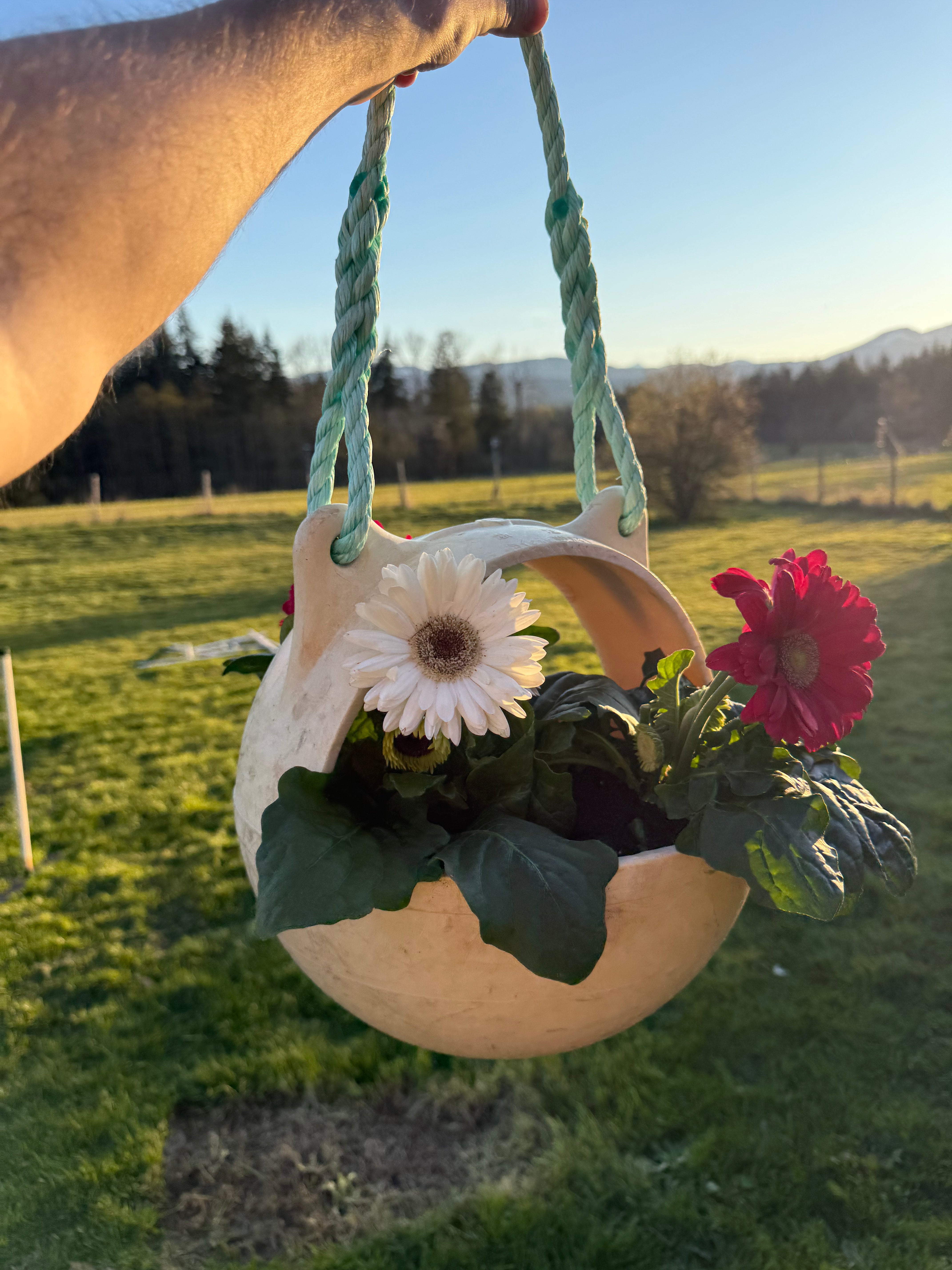 2011 Japanese Tsunami Buoys (Hanging Planters) - Collected from coastal beaches