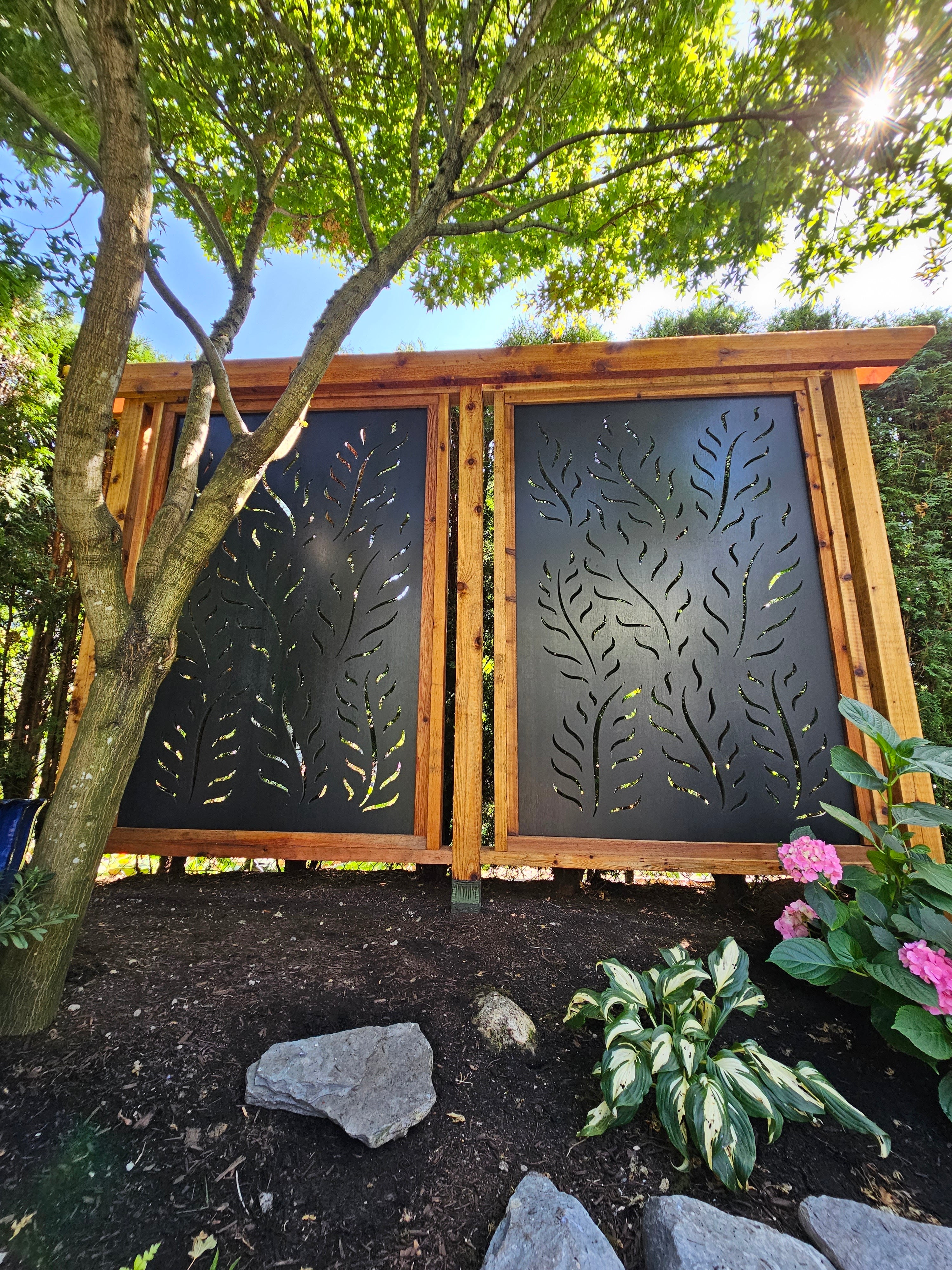Fern Forest