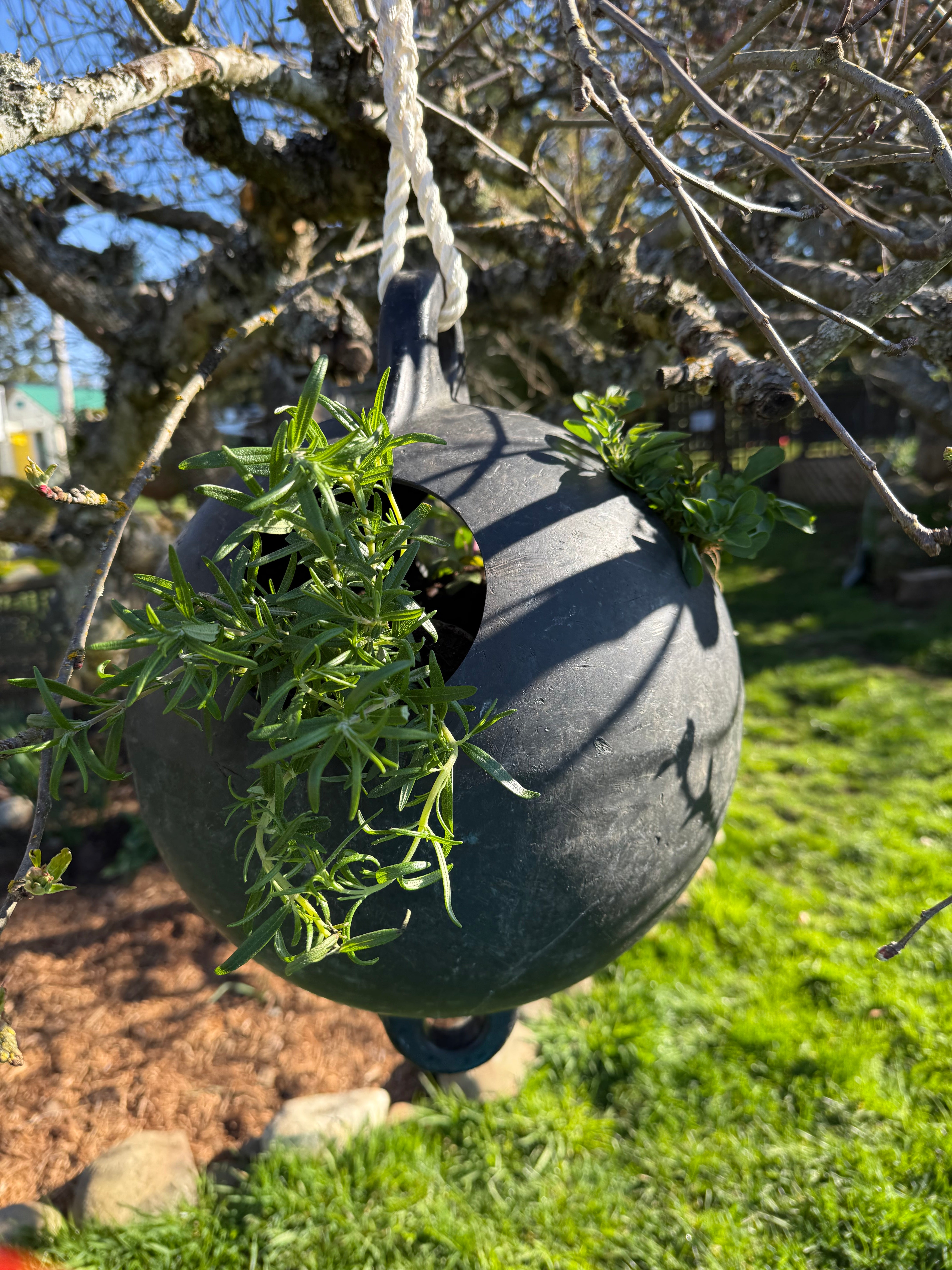 2011 Japanese Tsunami Buoys (Hanging Planters) - Collected from coastal beaches