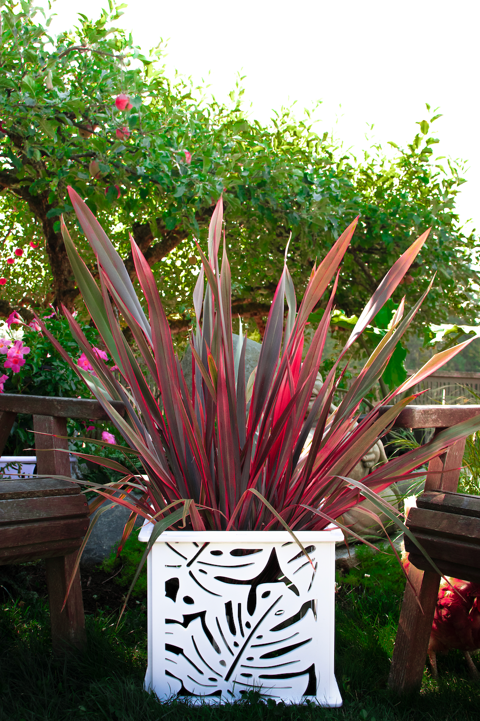 CANA Planter Box || Monstera design || FREE SHIPPING