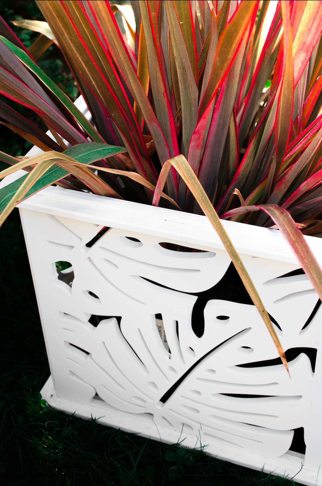 CANA Planter Box || Monstera design || FREE SHIPPING
