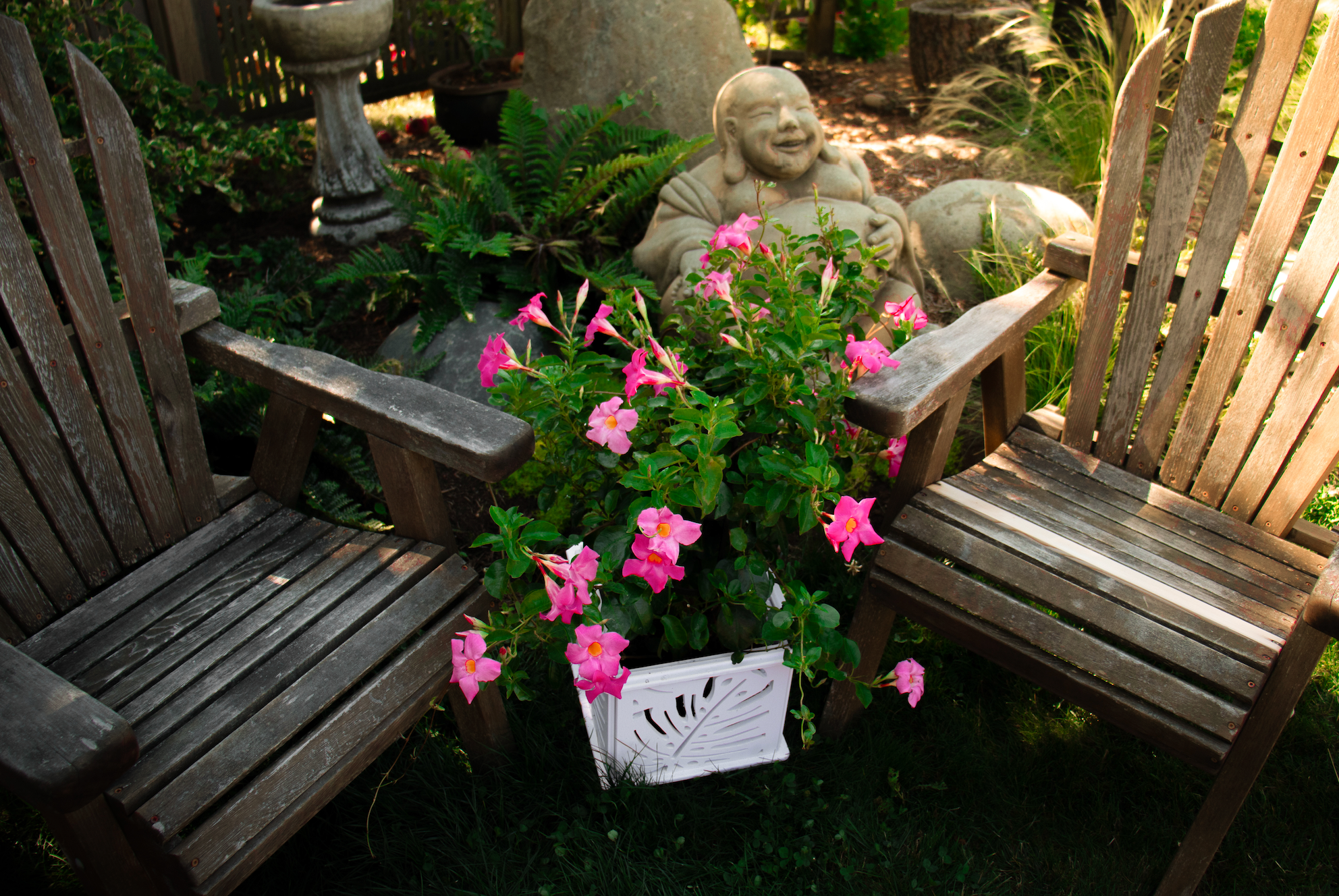 CANA Planter Box || Monstera design || FREE SHIPPING