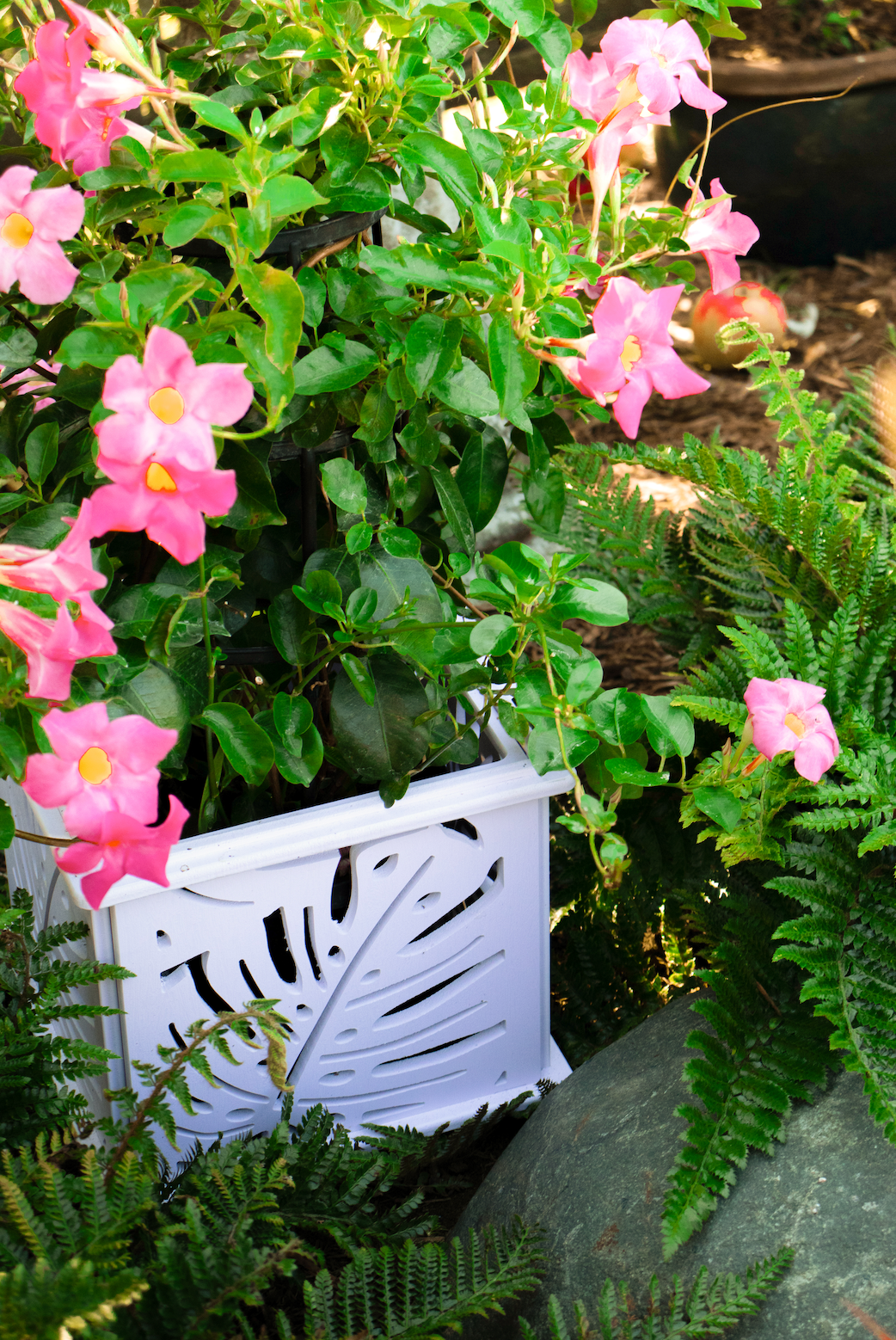 CANA Planter Box || Monstera design || FREE SHIPPING