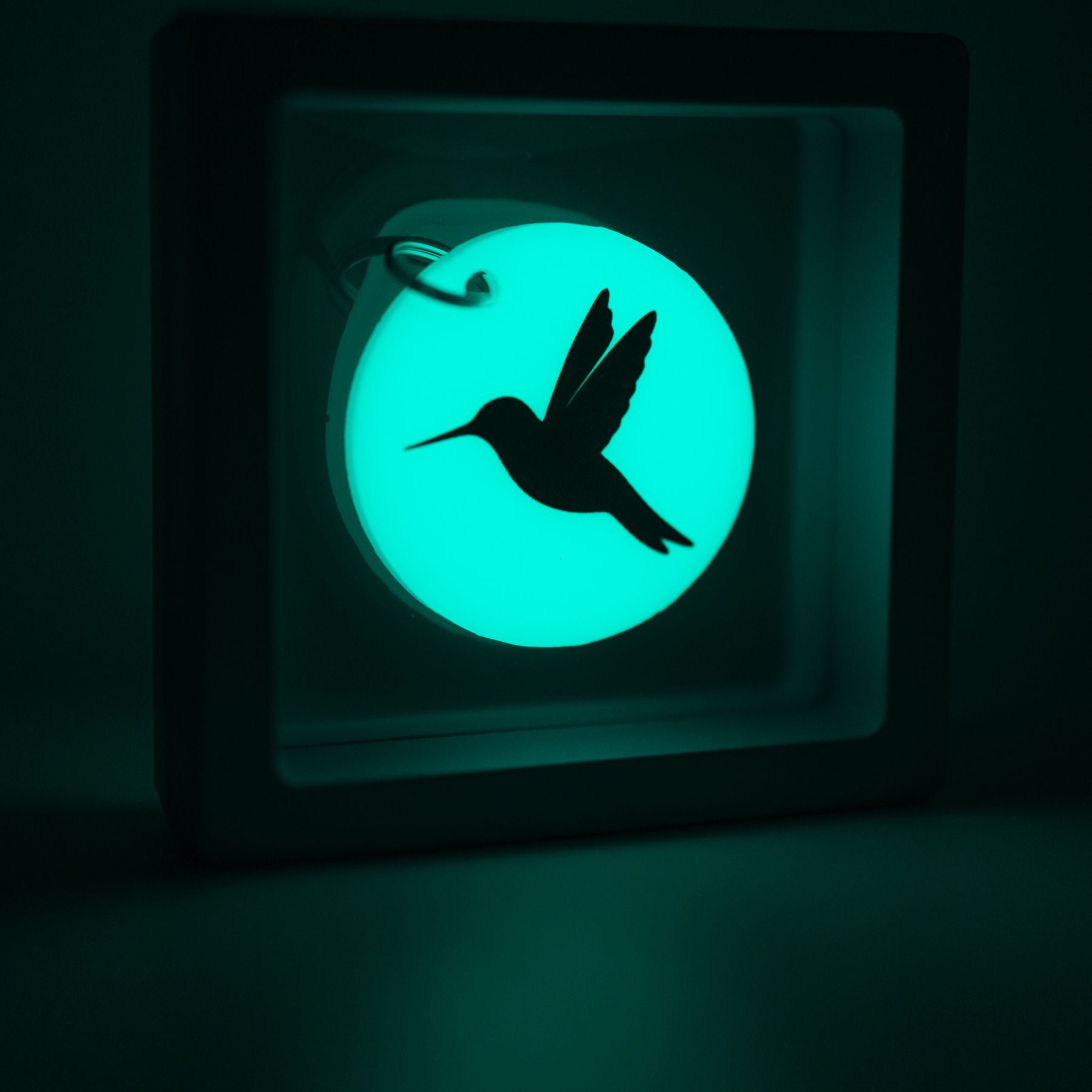 Glow in the Dark Keychains FREE SHIPPING