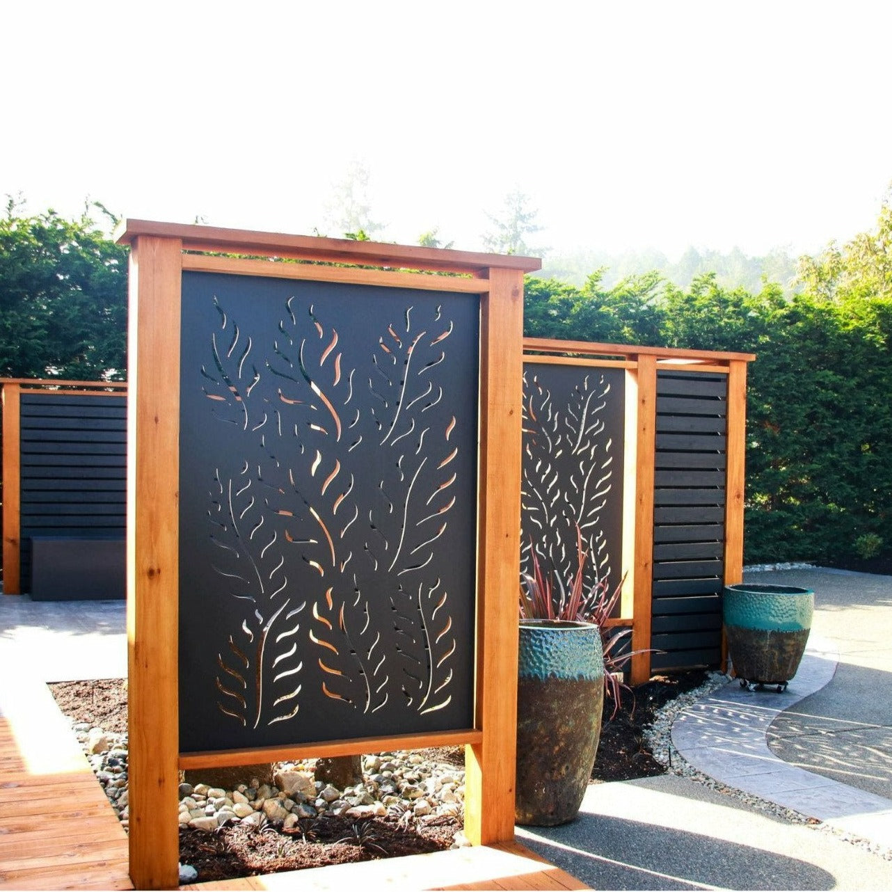 Fern Forest