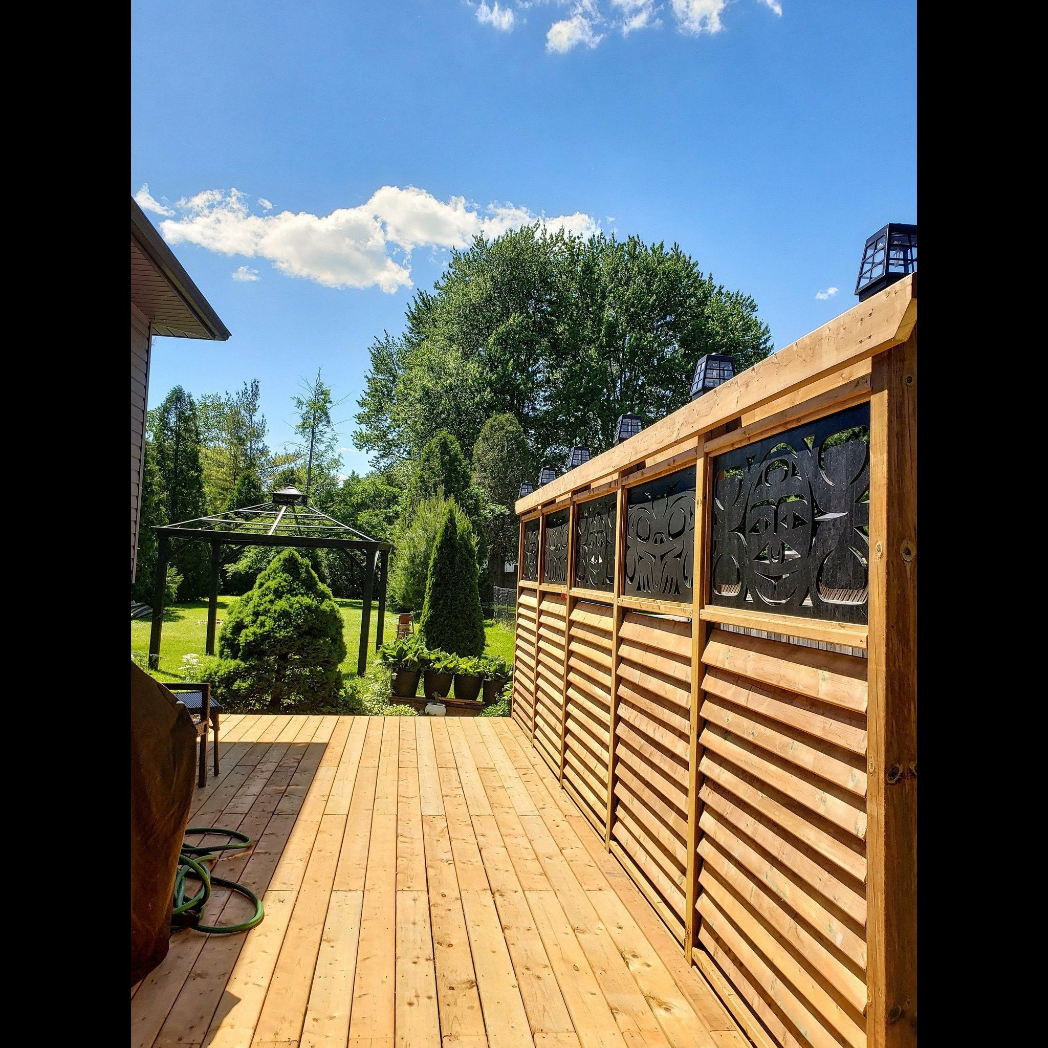 Transformation of the Frog