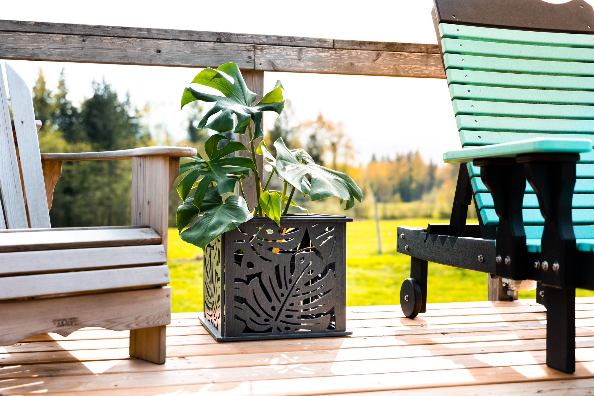 CANA Planter Box || Monstera design || FREE SHIPPING