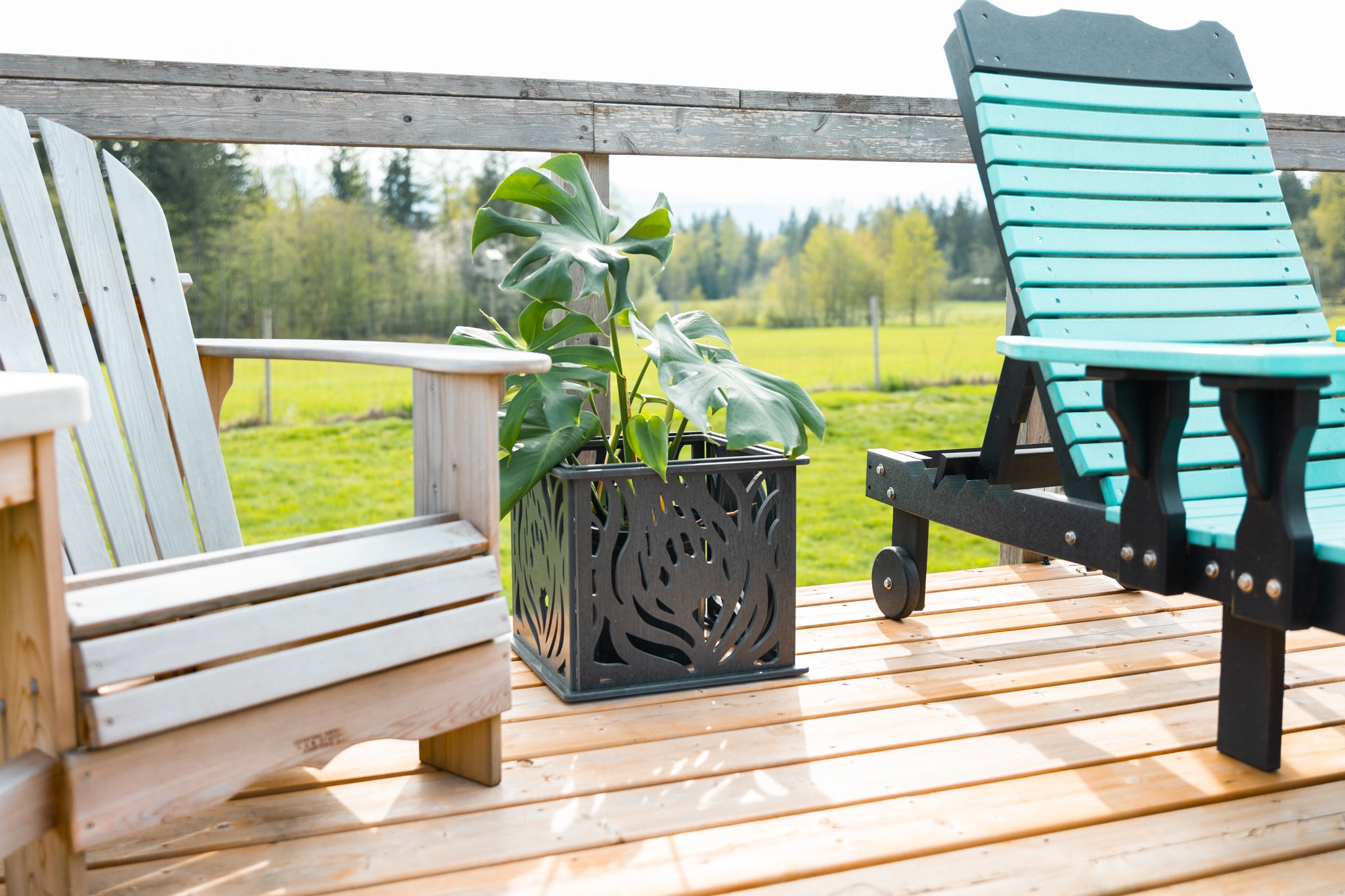 CANA Planter Box || Protea design || FREE SHIPPING