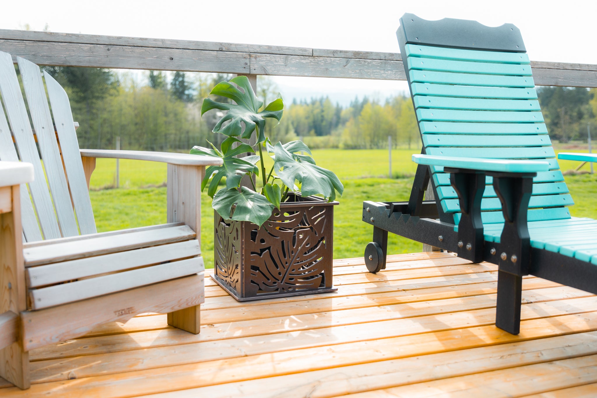 CANA Planter Box || Monstera design || FREE SHIPPING