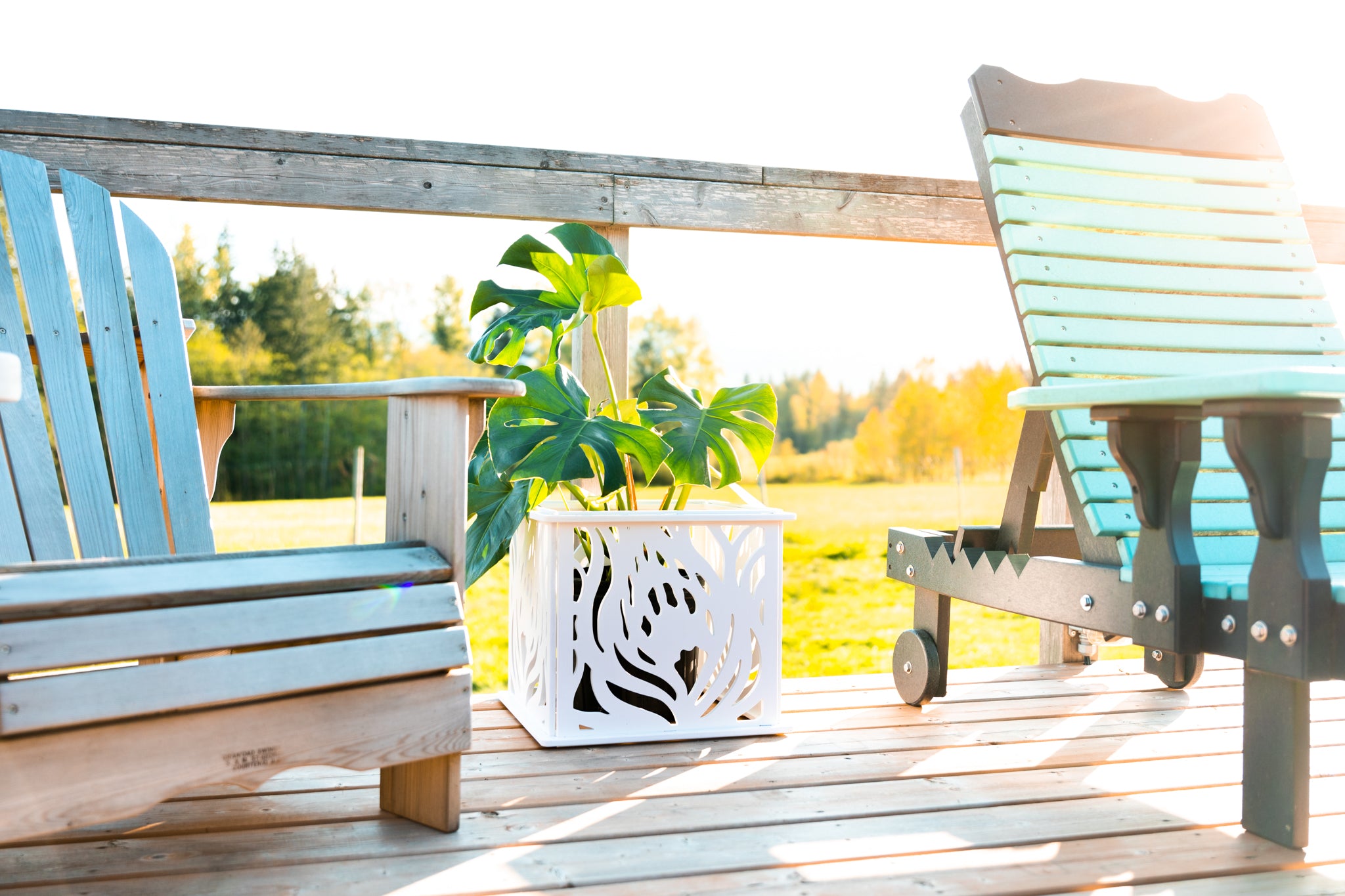 CANA Planter Box || Protea design || FREE SHIPPING