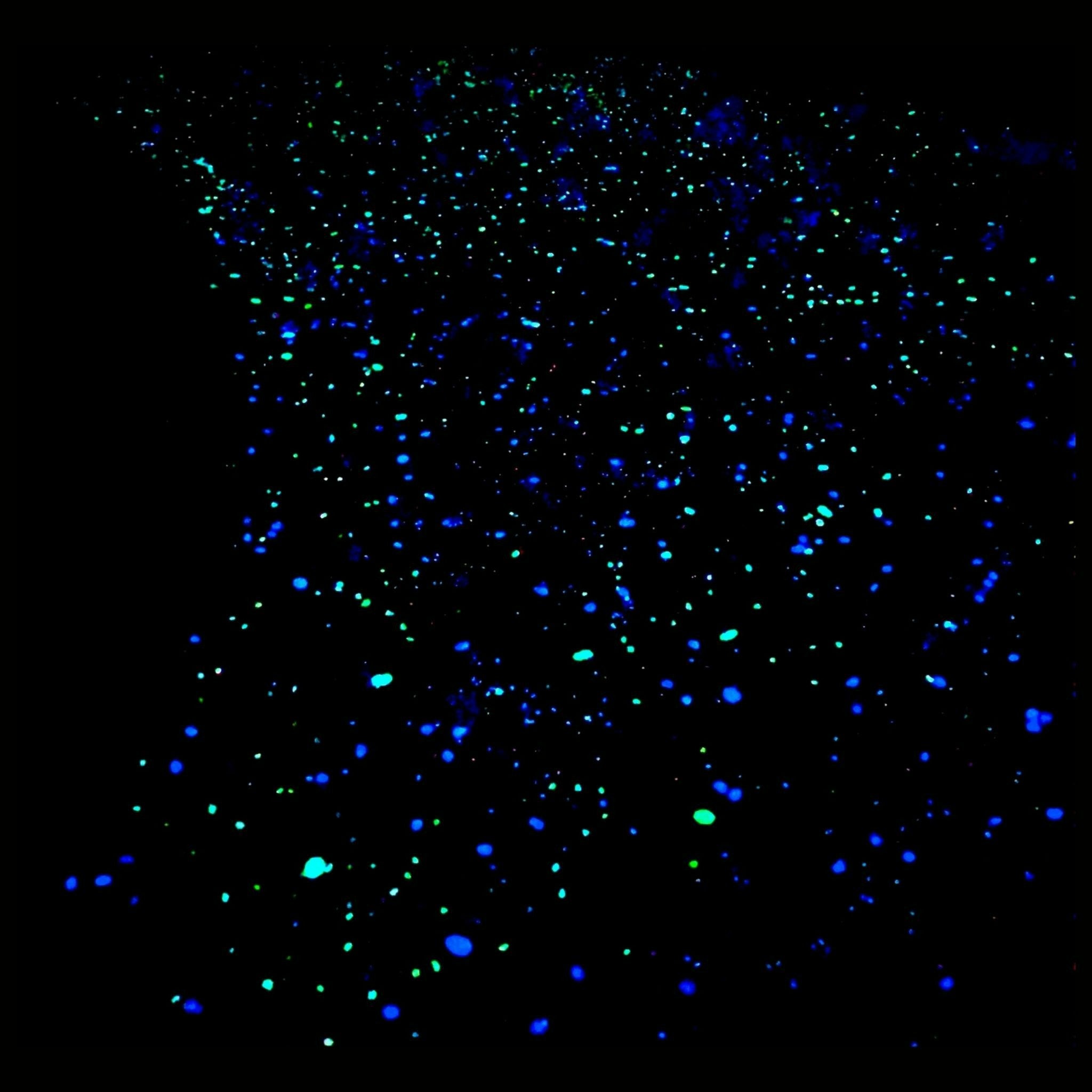 2" White (Blue) Cobbles