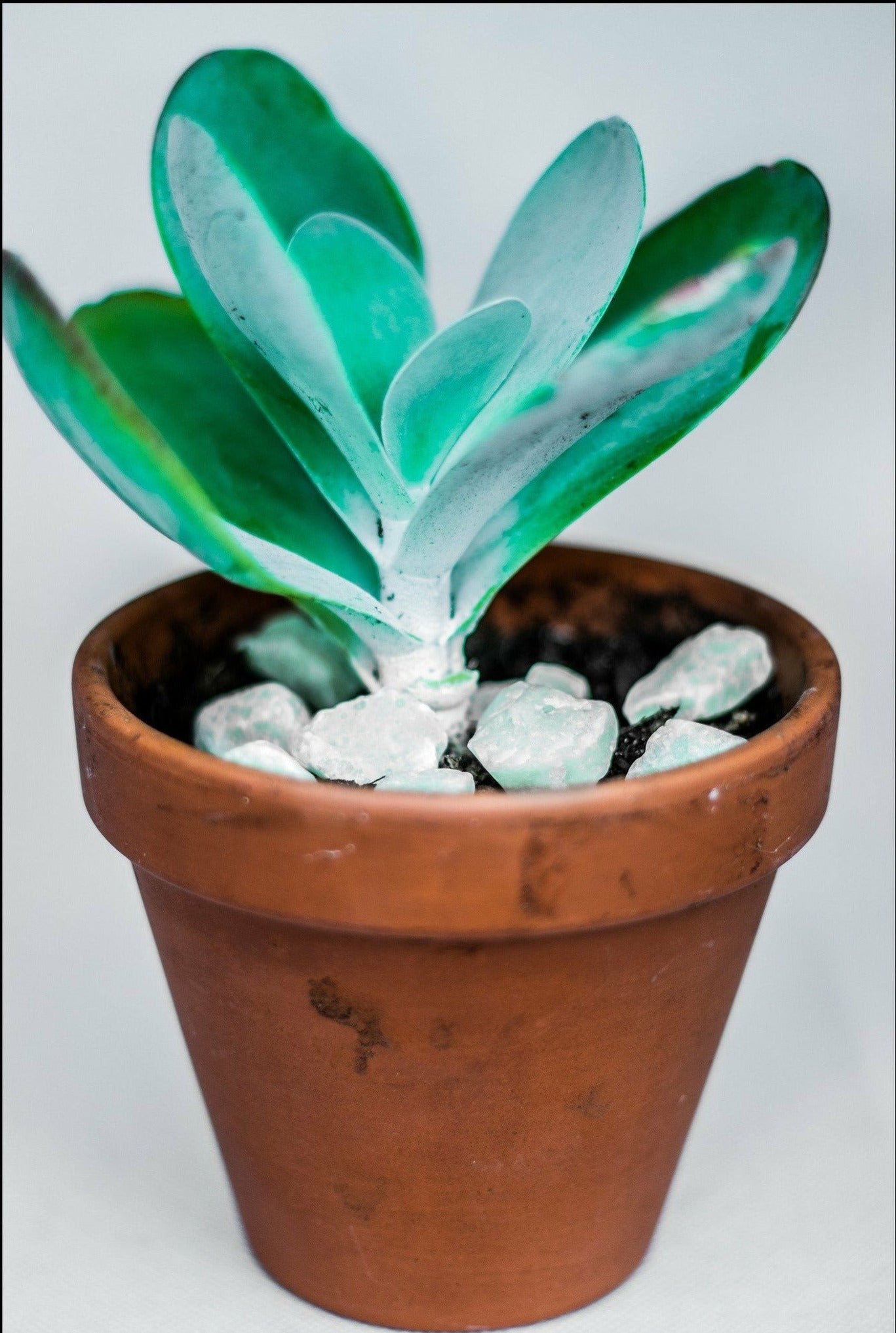 16-25mm Quantum Grade Aggregate - Aqua 1lb (~125 Rocks)