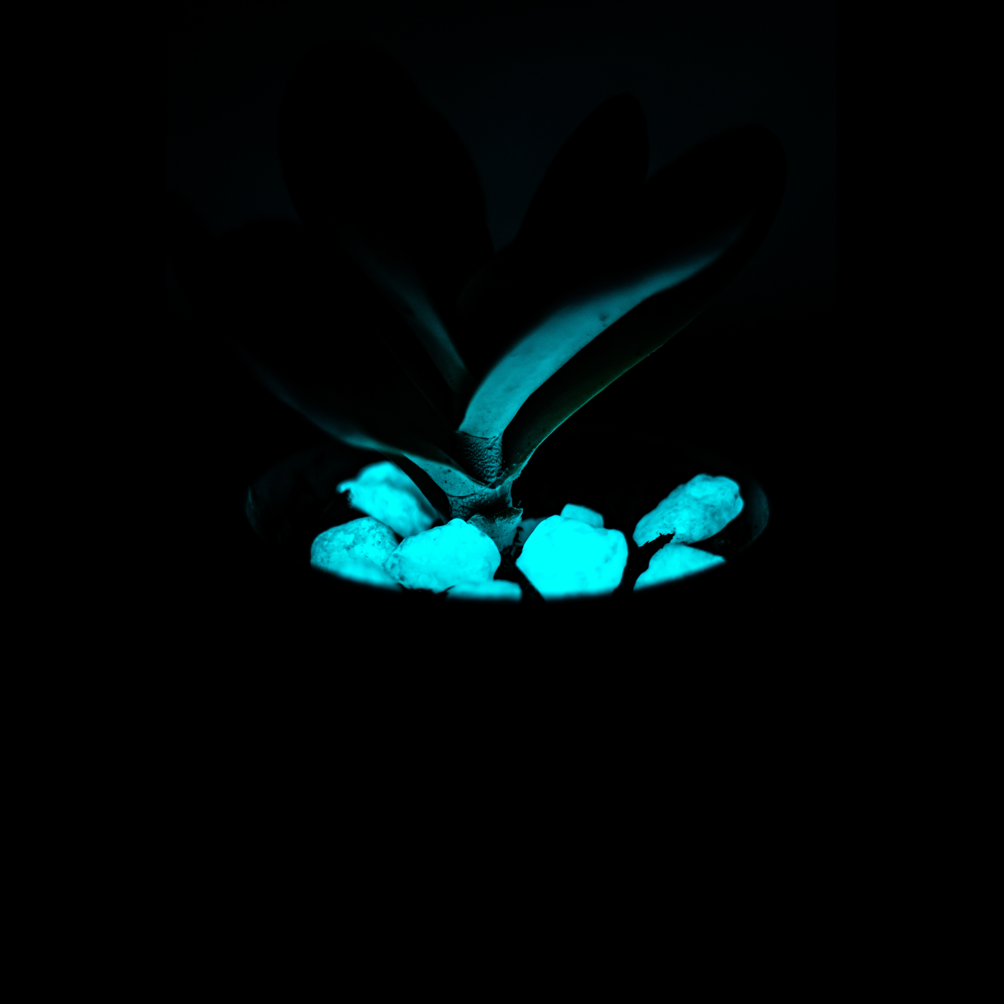 16-25mm Quantum Grade Aggregate - Aqua 1lb (~125 Rocks)