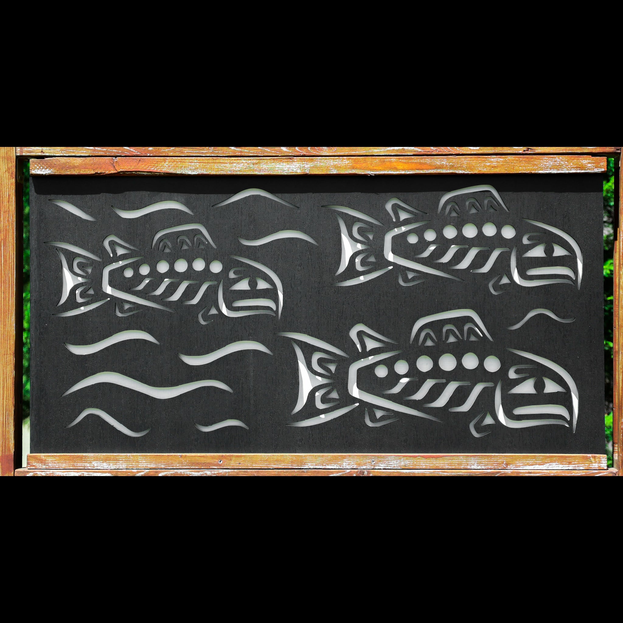 Sockeye Salmon Run