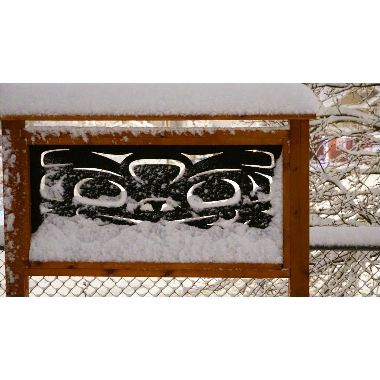 Transformation of the Frog