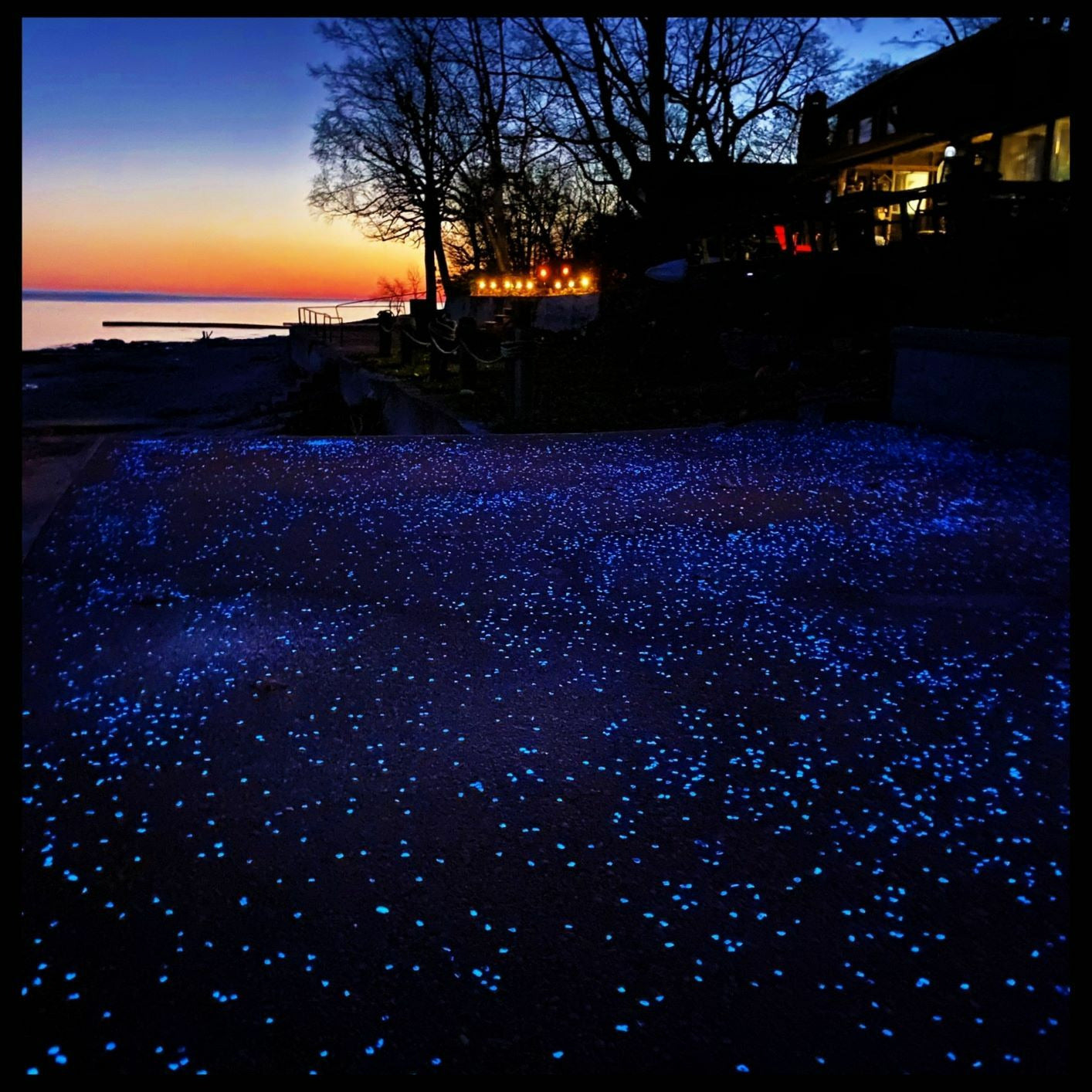 1-3mm Quantum Grade Aggregate - Blue 1lb (~163,200 sand/rocks)