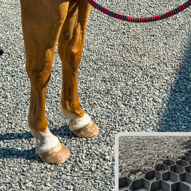 Gravel Pet Pack 33 sq ft pack NoDig Foundation Free Shipping