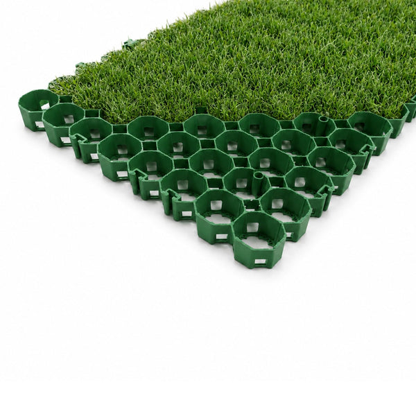 Grass Foundations