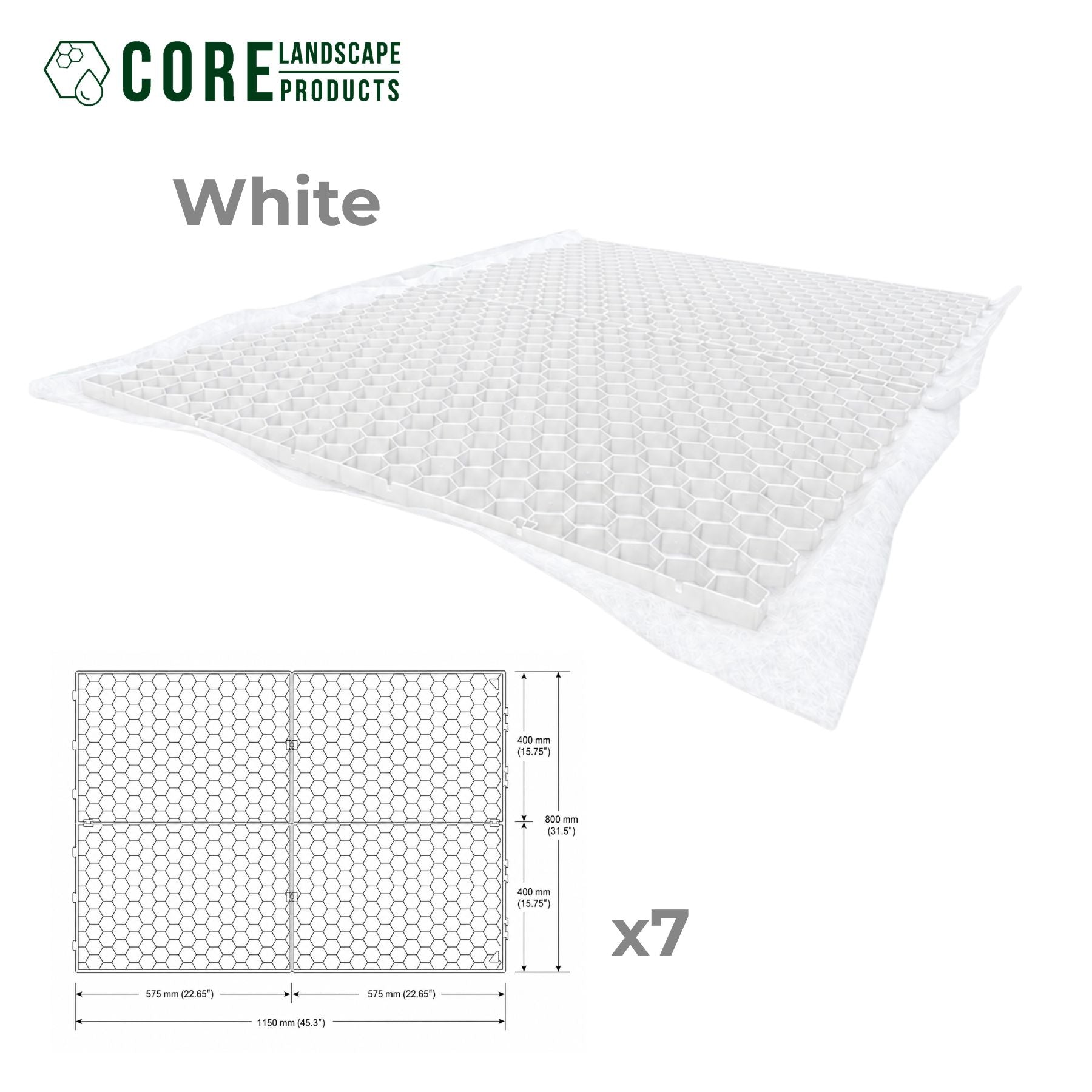 CORE Path | FREE SHIPPING