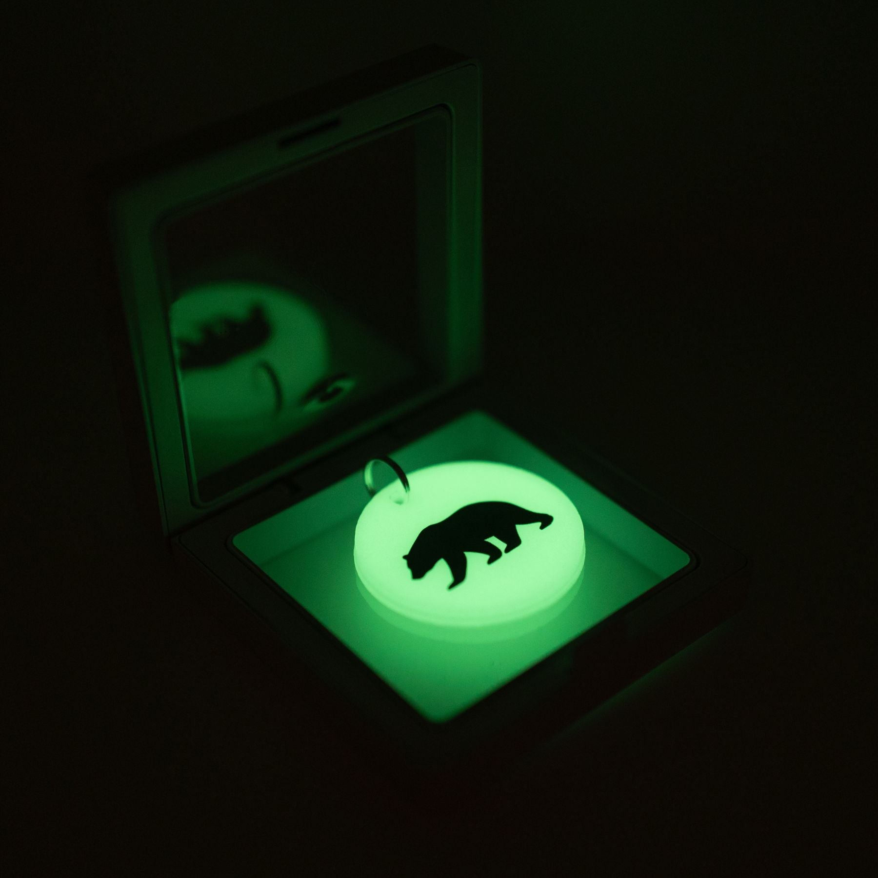 Glow in the Dark Keychains FREE SHIPPING