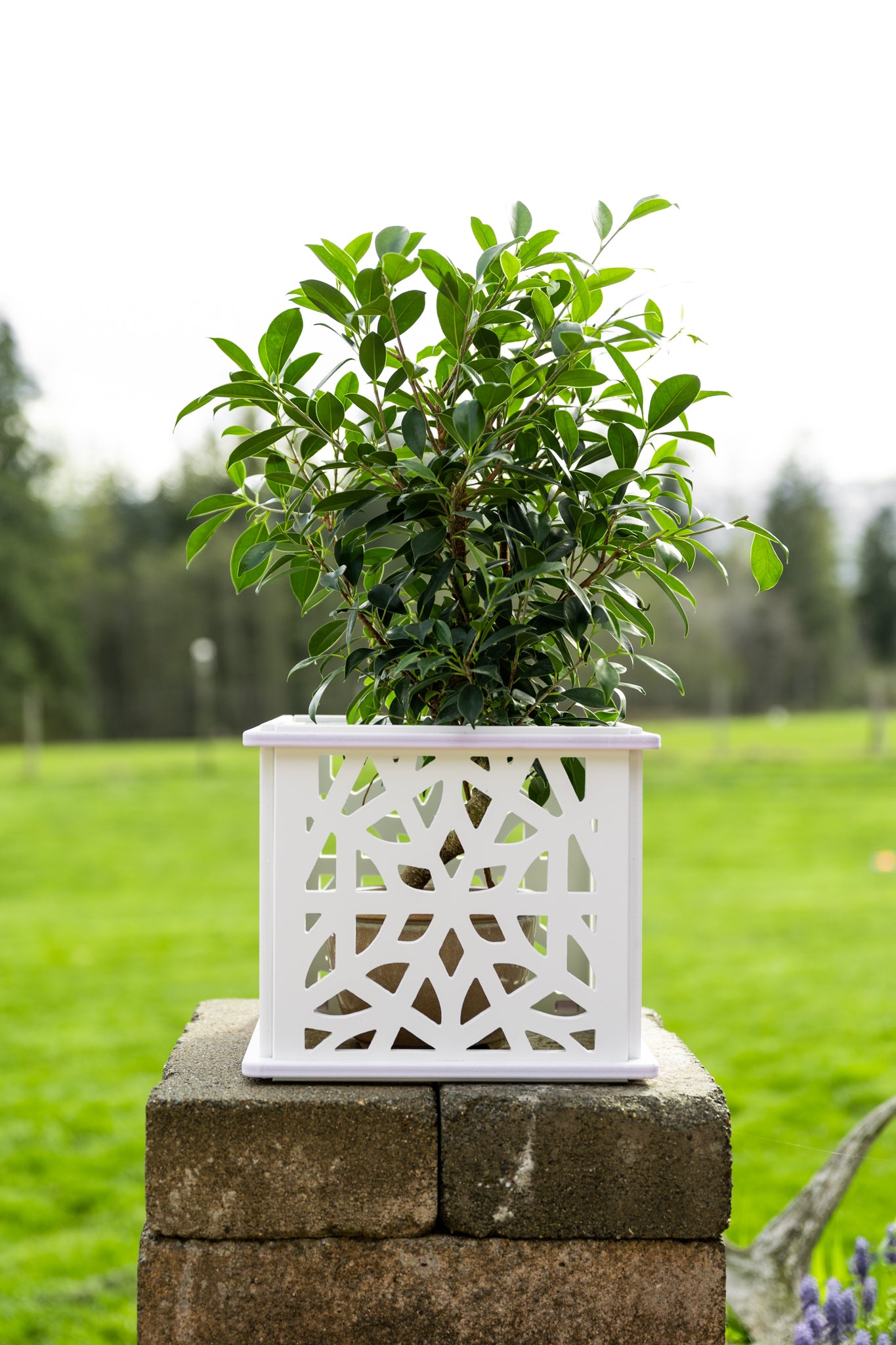 CANA Planter Box || Morocco design || FREE SHIPPING