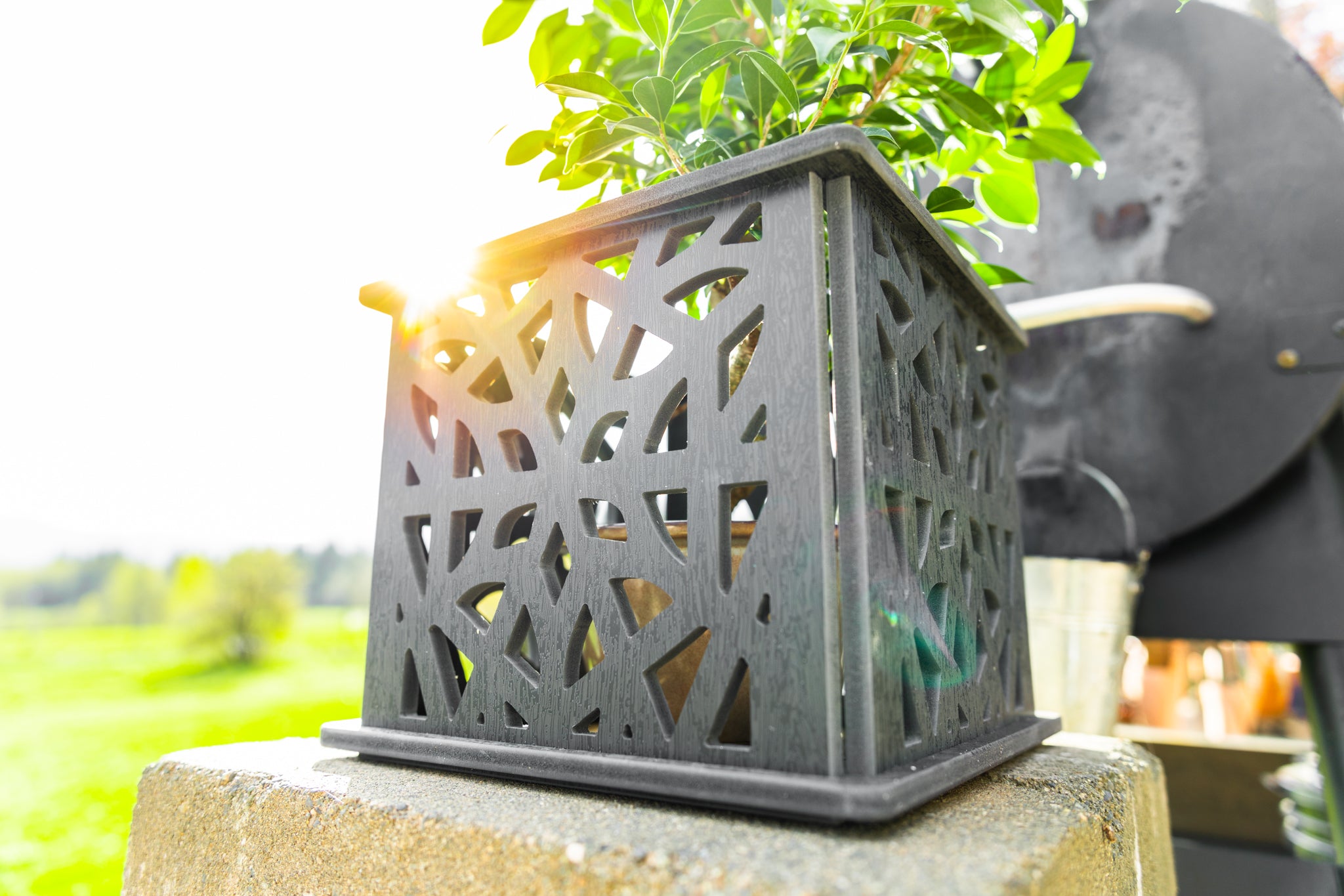 CANA Planter Box || Morocco design || FREE SHIPPING