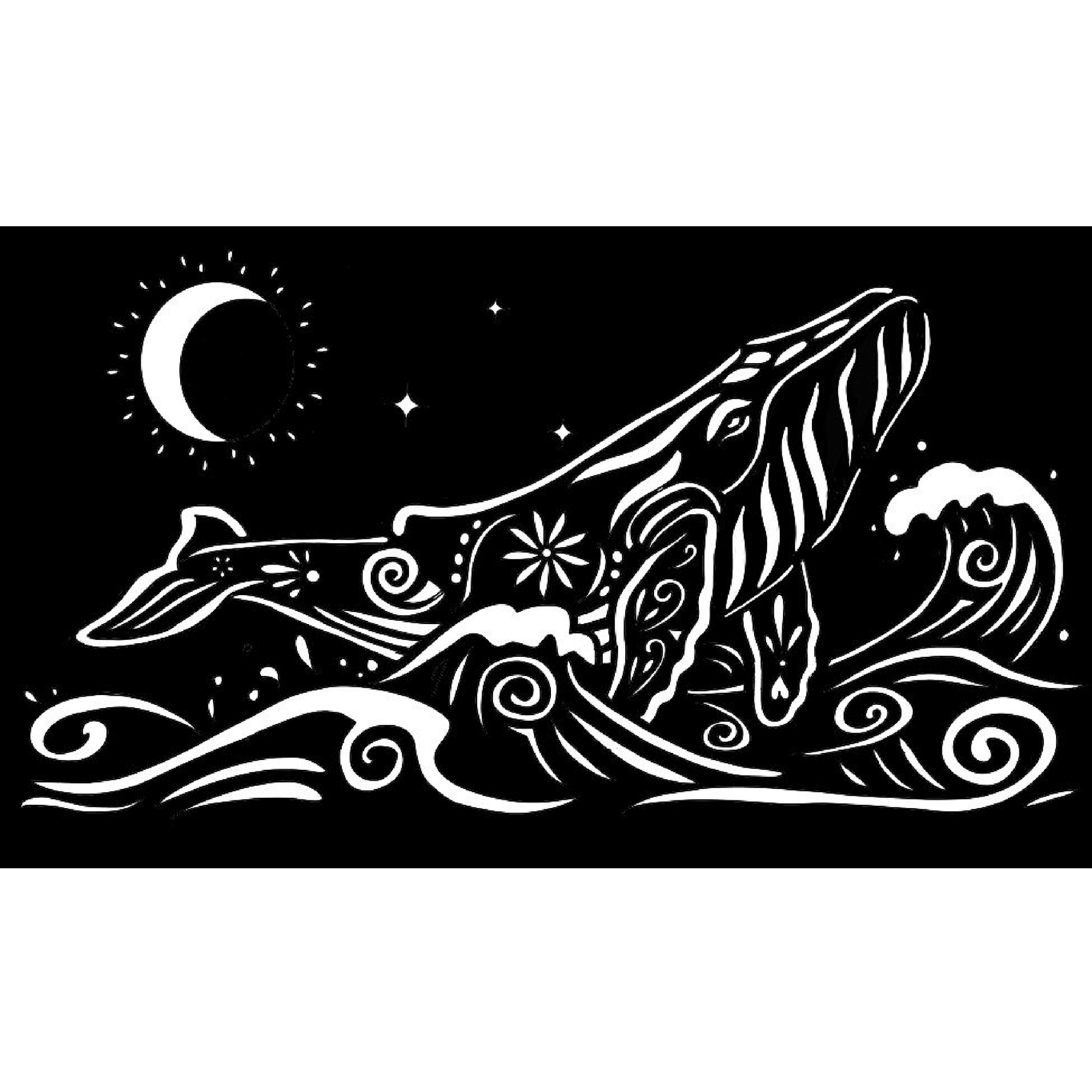 Ballena Nocturna